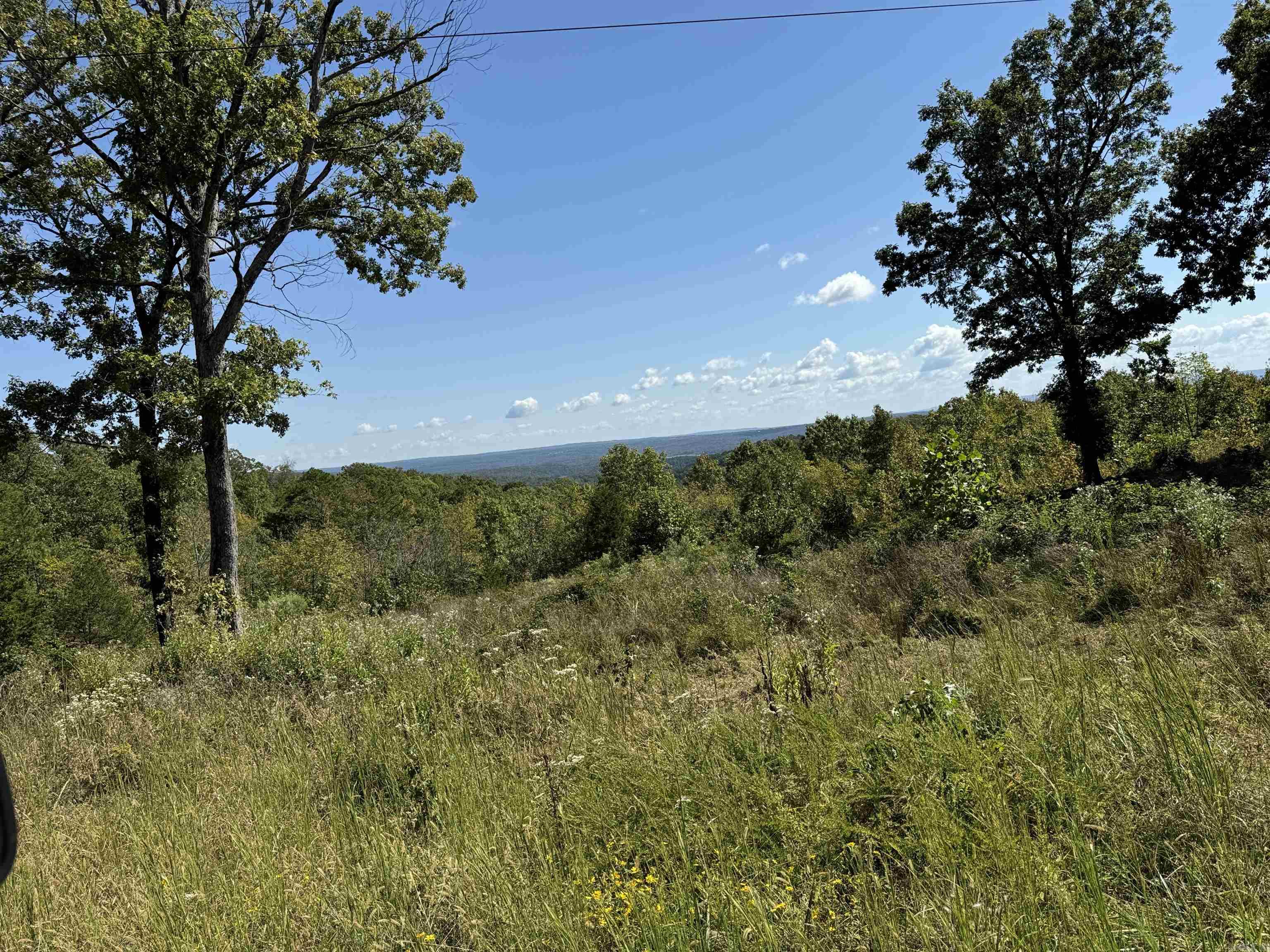 88.43 Acres Watersedge Drive Edgemont, AR 72044