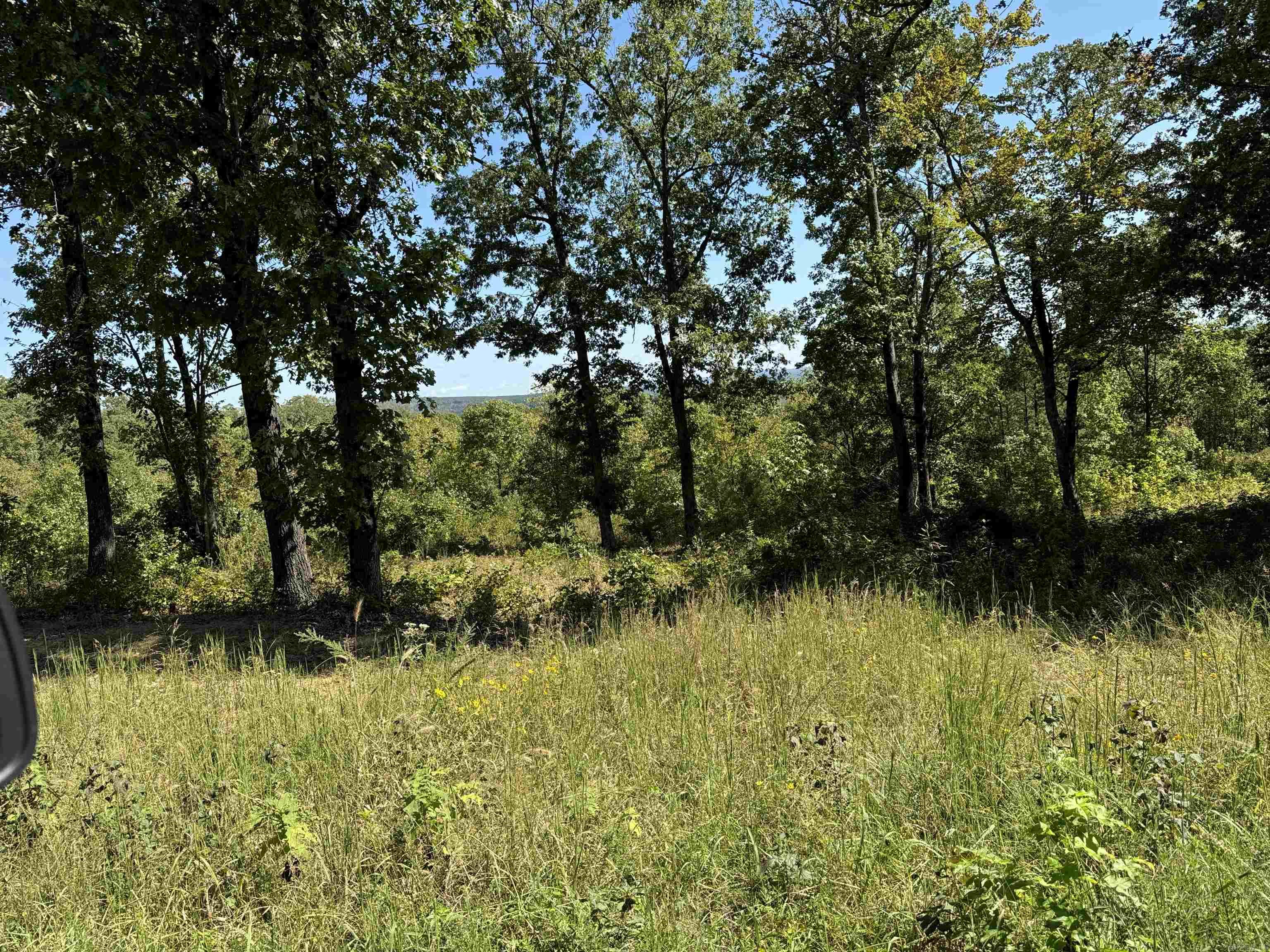88.43 Acres Watersedge Drive Edgemont, AR 72044