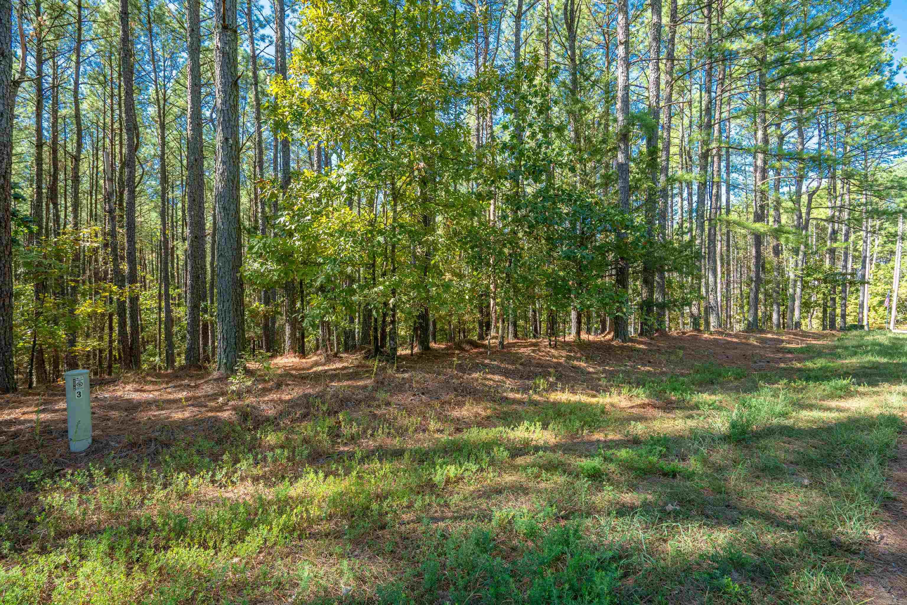 3  Otera  Hot Springs Village, AR