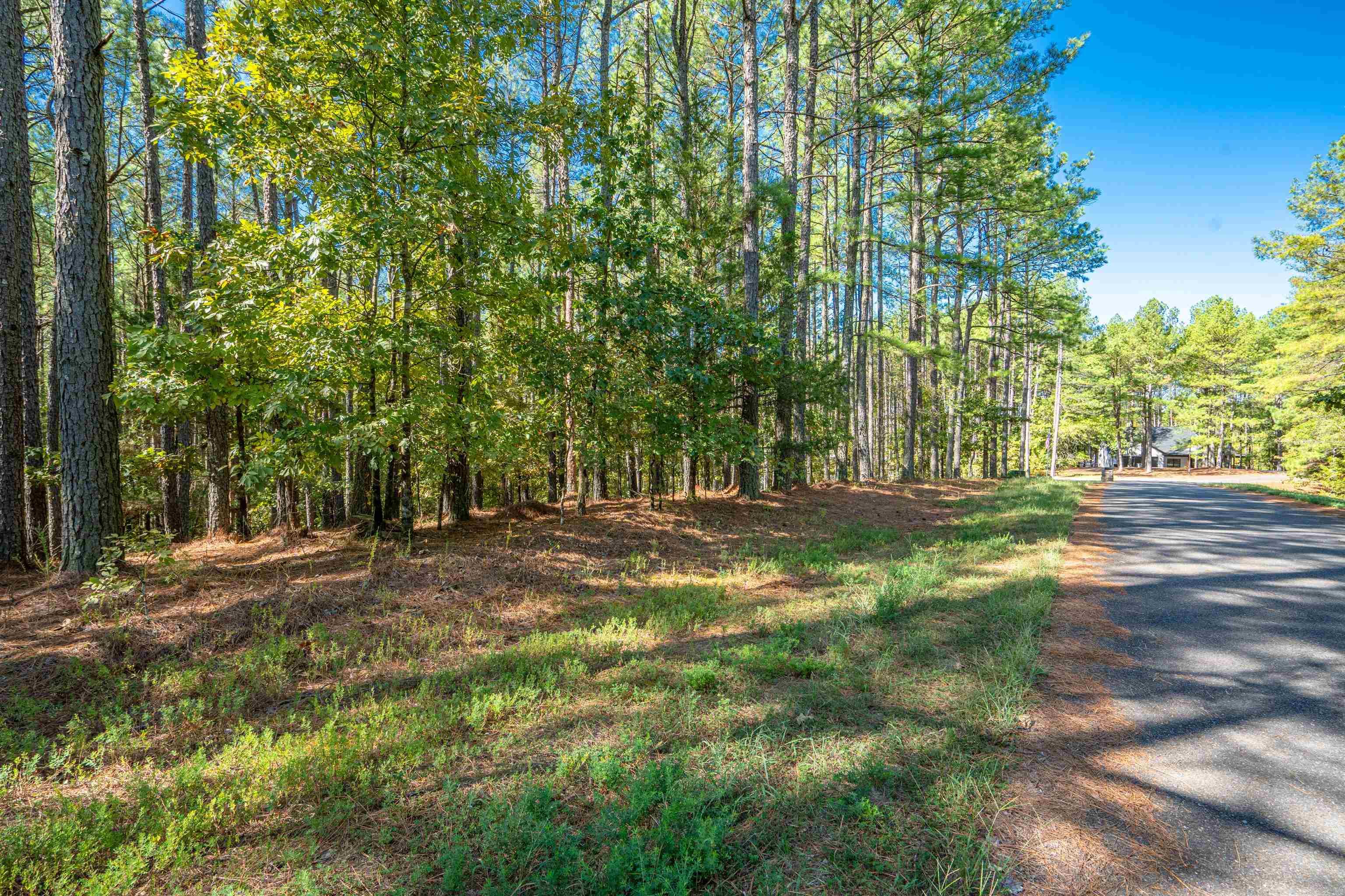 3  Otera  Hot Springs Village, AR