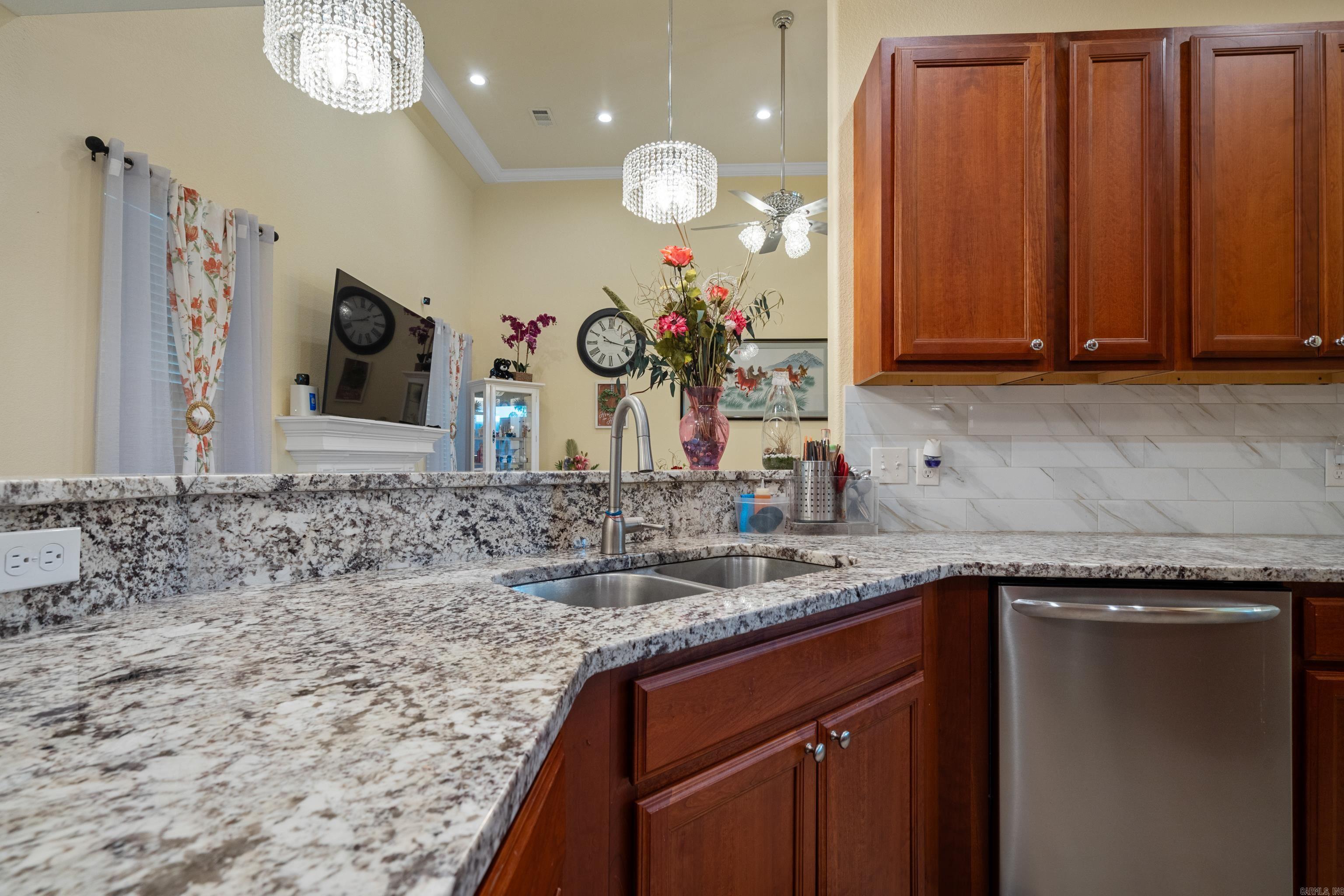 125  Coneflower  Hot Springs, AR