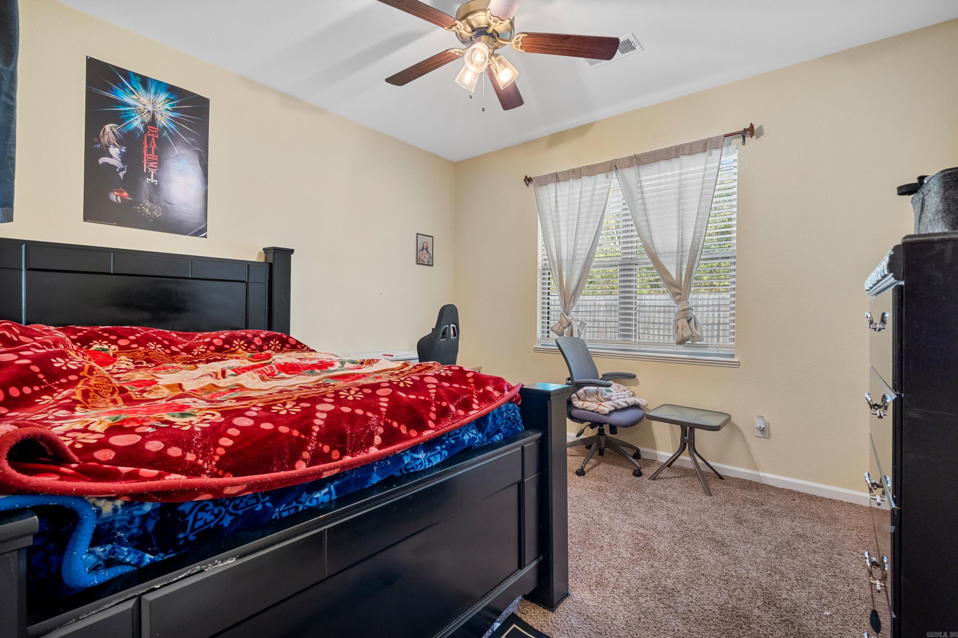 125  Coneflower  Hot Springs, AR