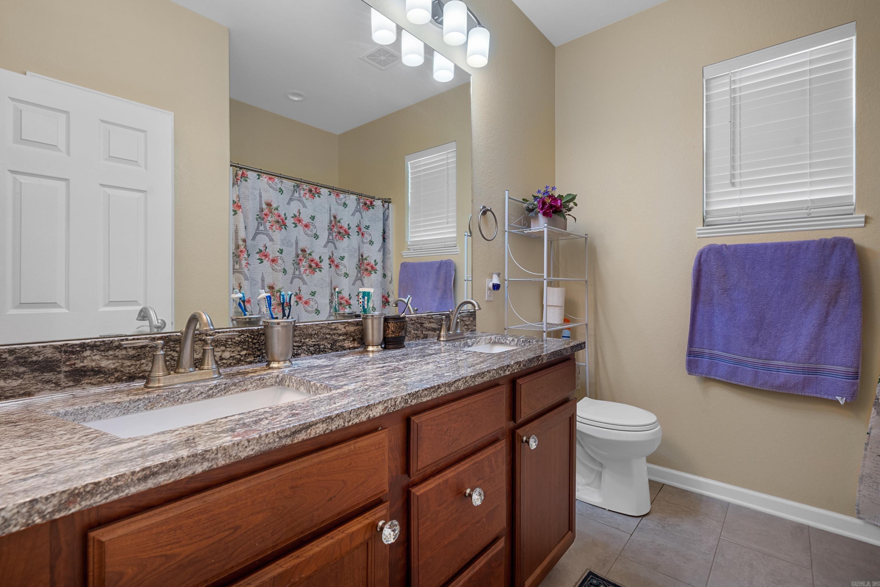 125  Coneflower  Hot Springs, AR