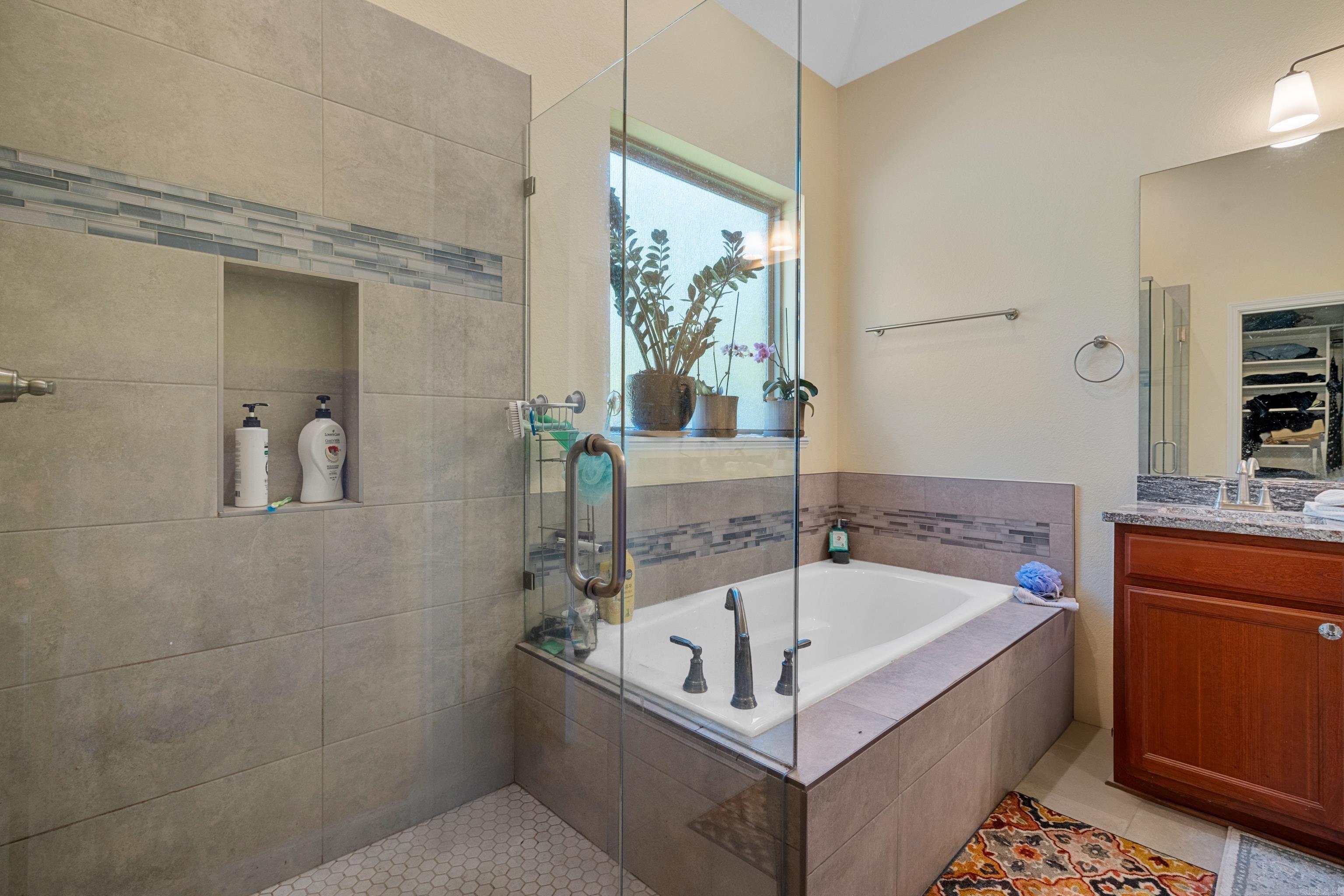 125  Coneflower  Hot Springs, AR