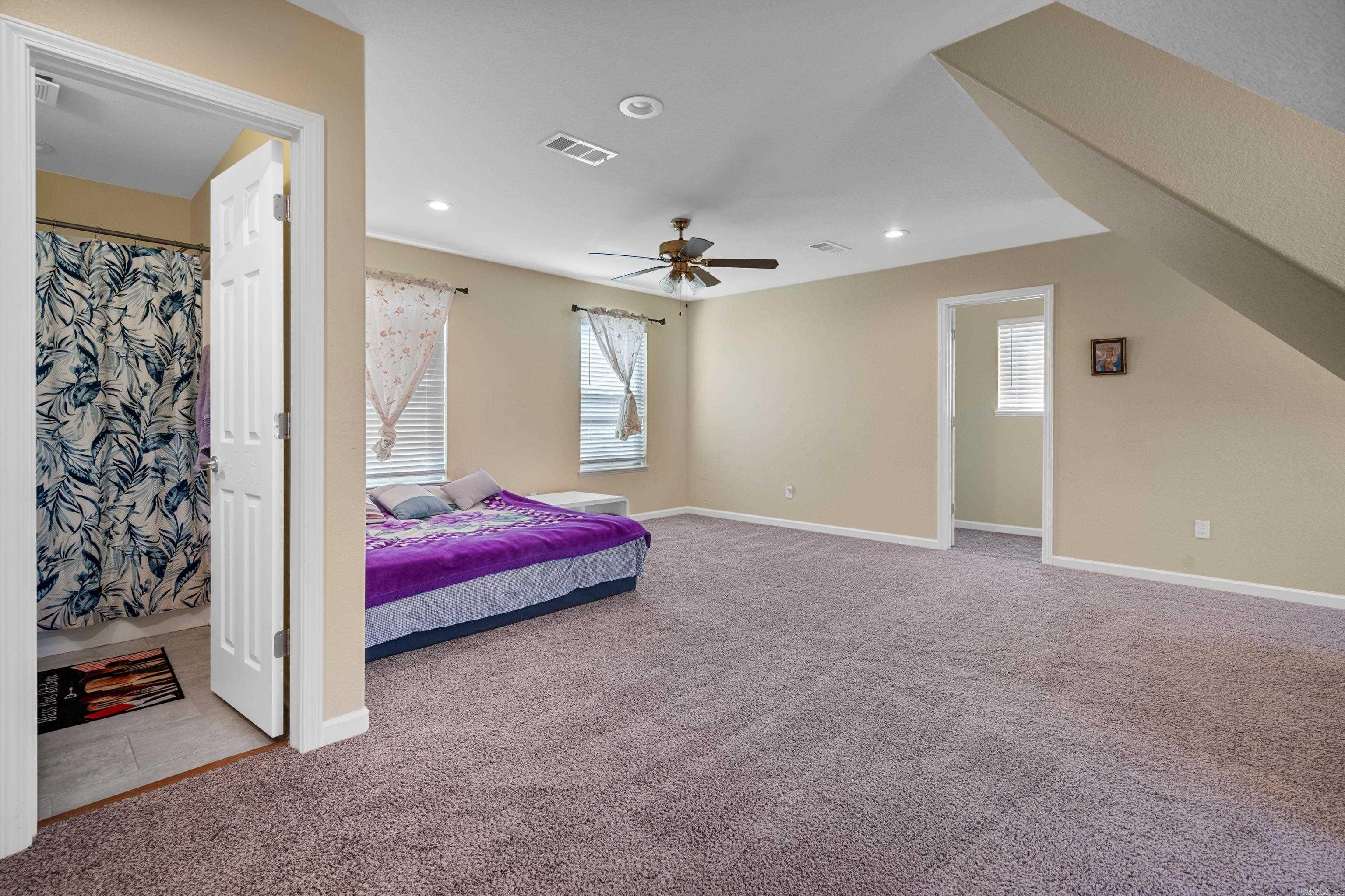 125  Coneflower  Hot Springs, AR