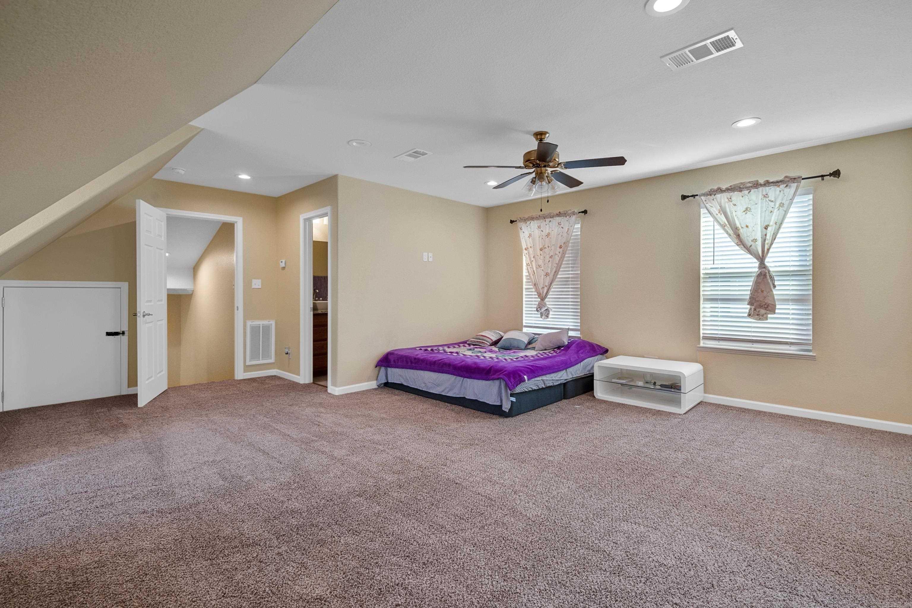 125  Coneflower  Hot Springs, AR