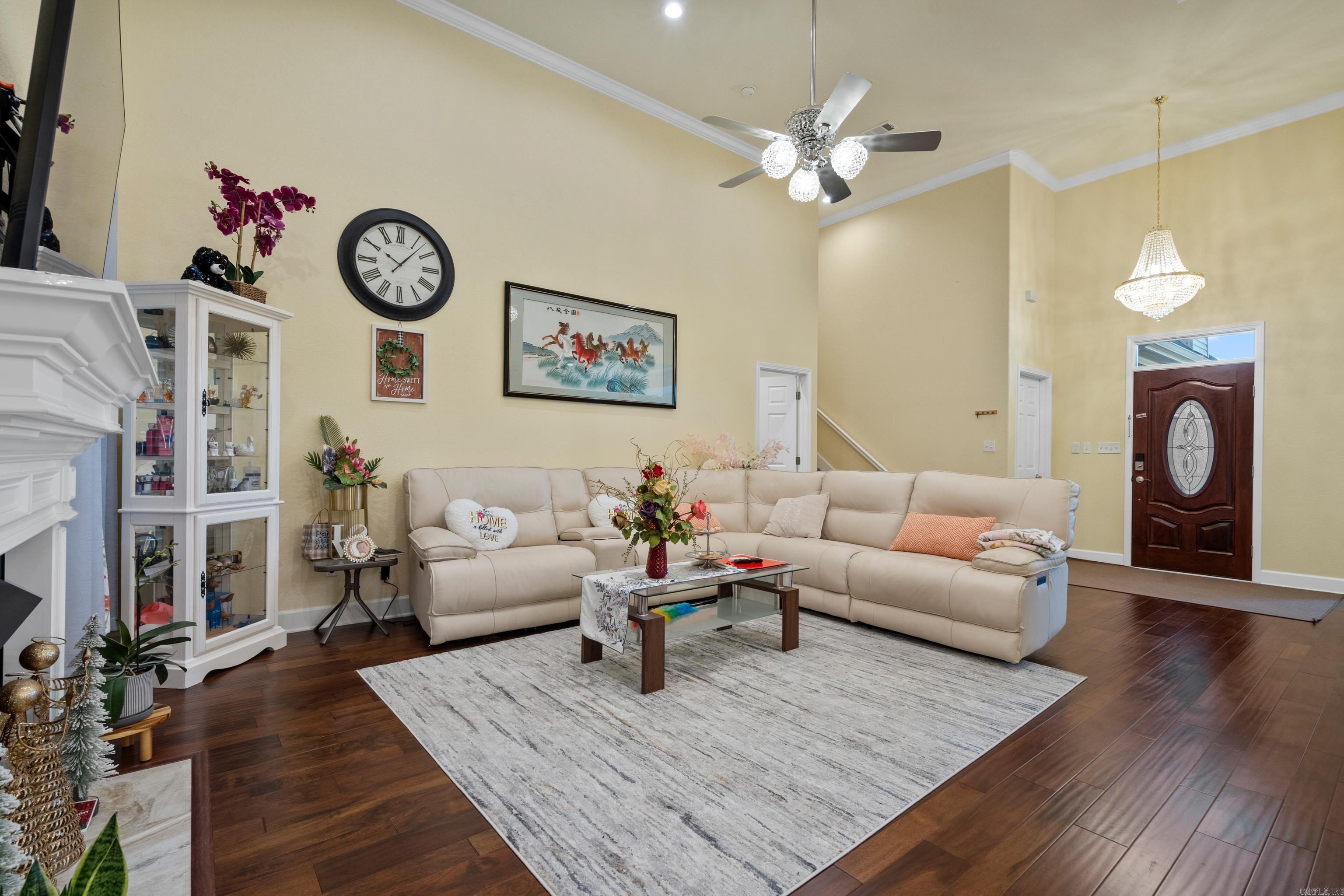 125  Coneflower  Hot Springs, AR