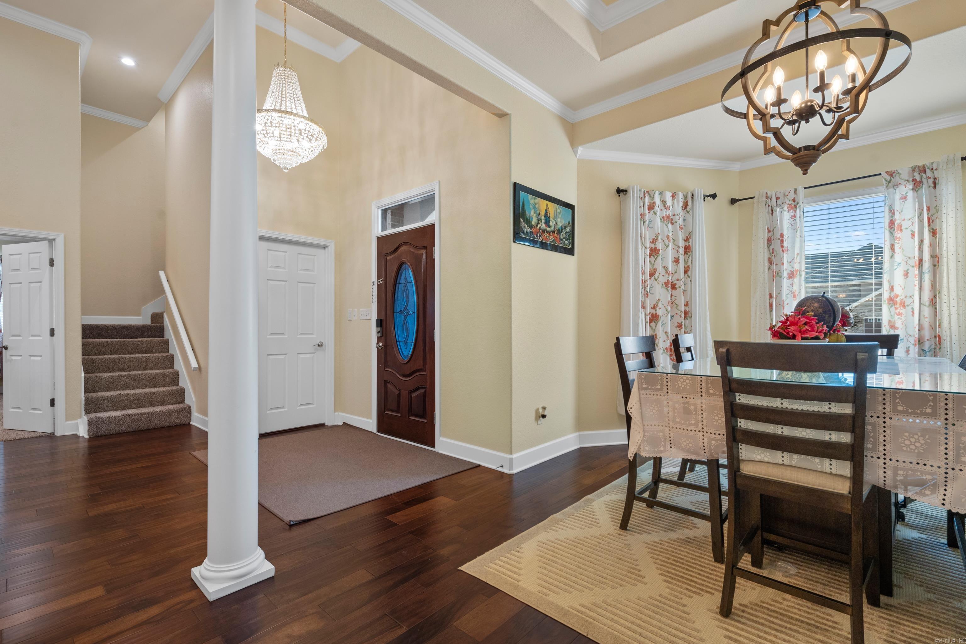 125  Coneflower  Hot Springs, AR