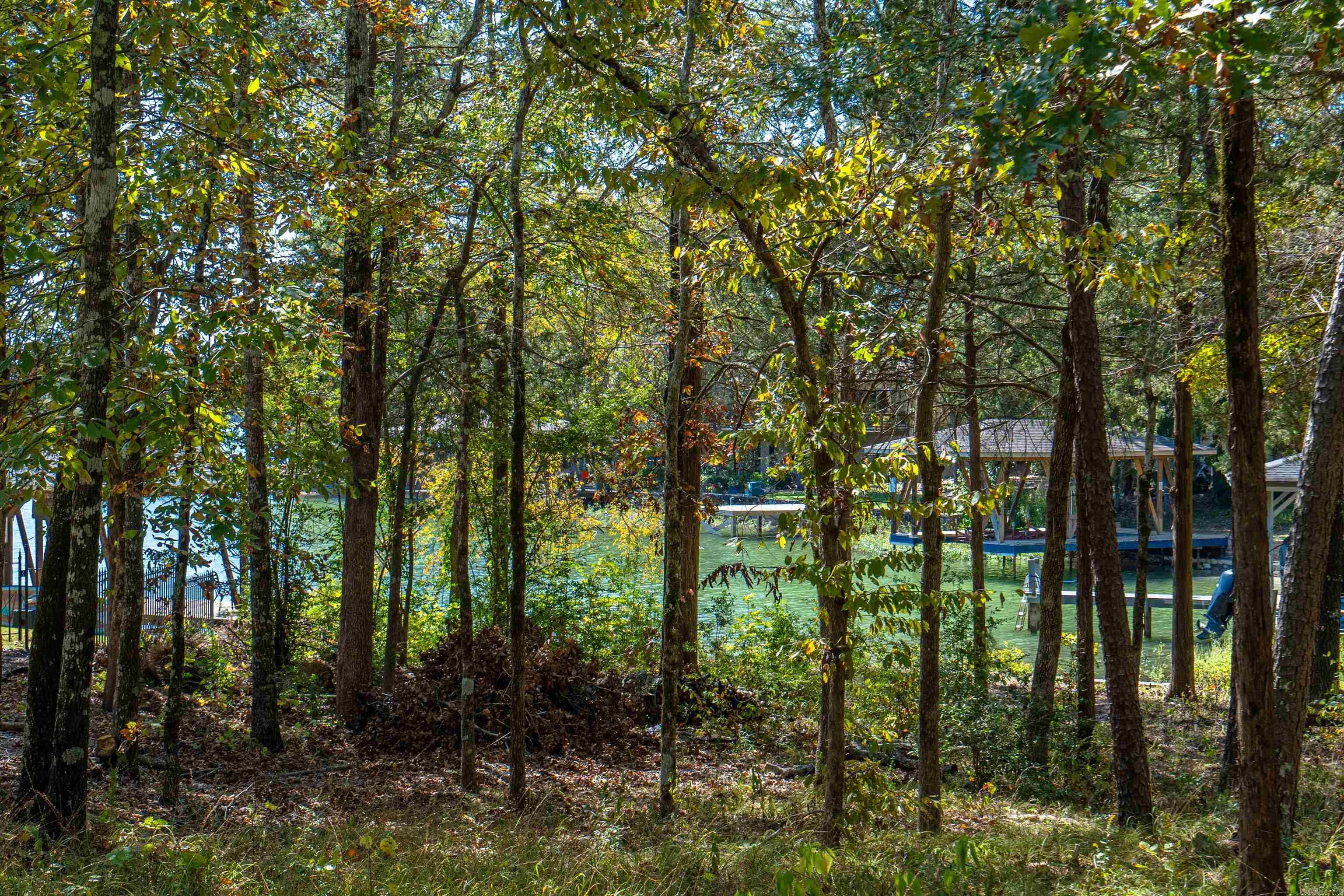 5  Sanchez  Hot Springs Village, AR