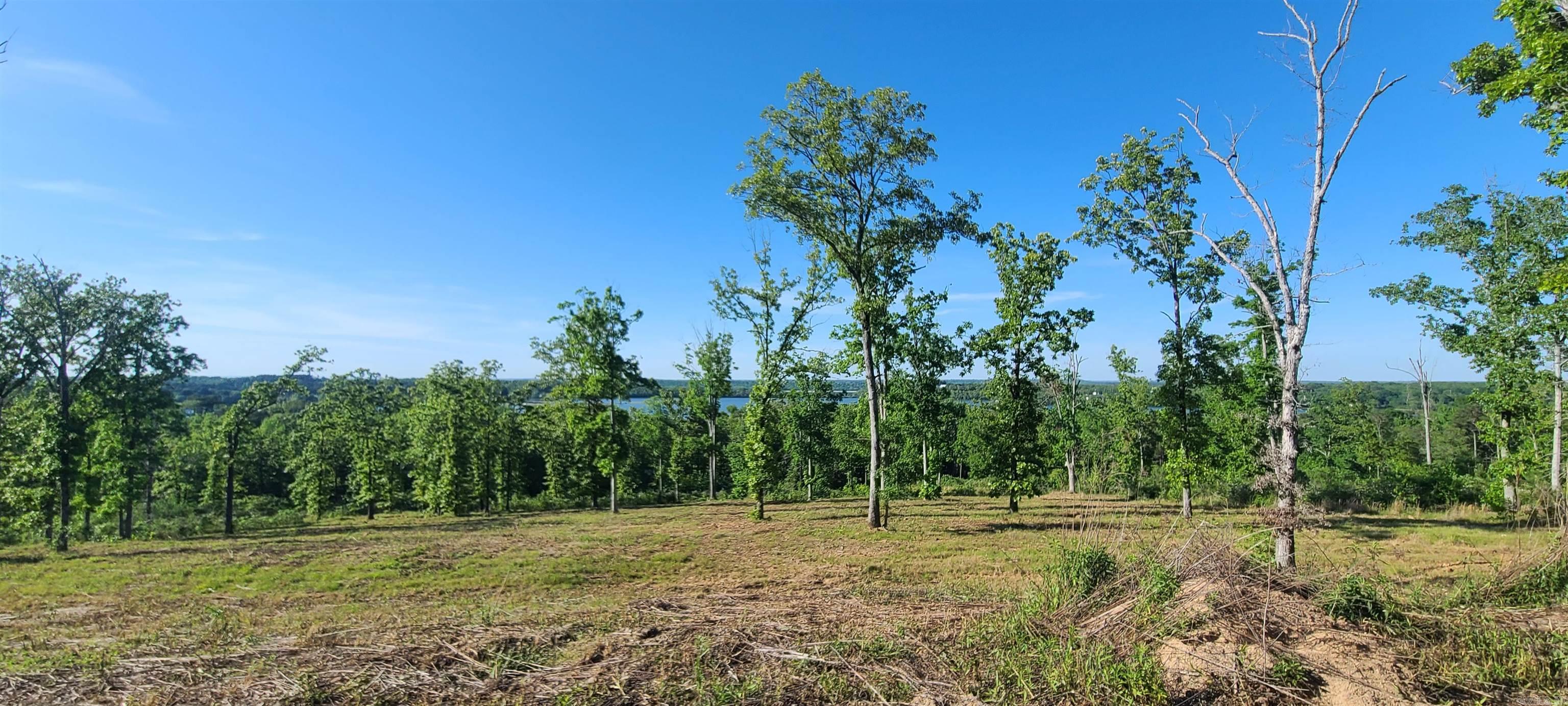 230  Waterview Drive  Conway, AR