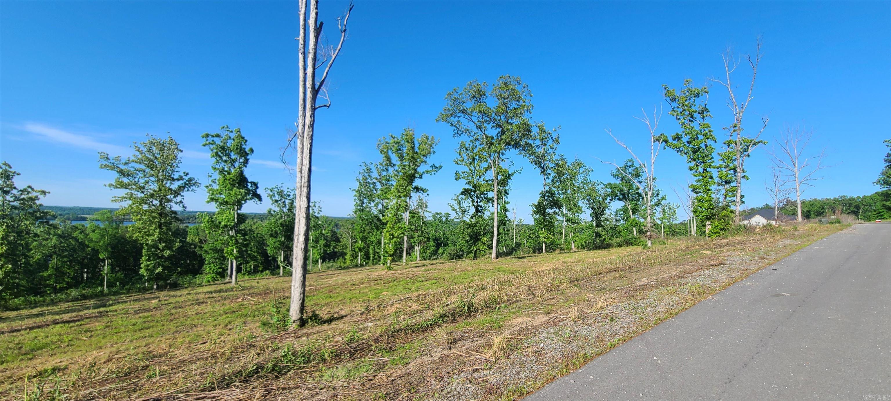 230  Waterview Drive  Conway, AR