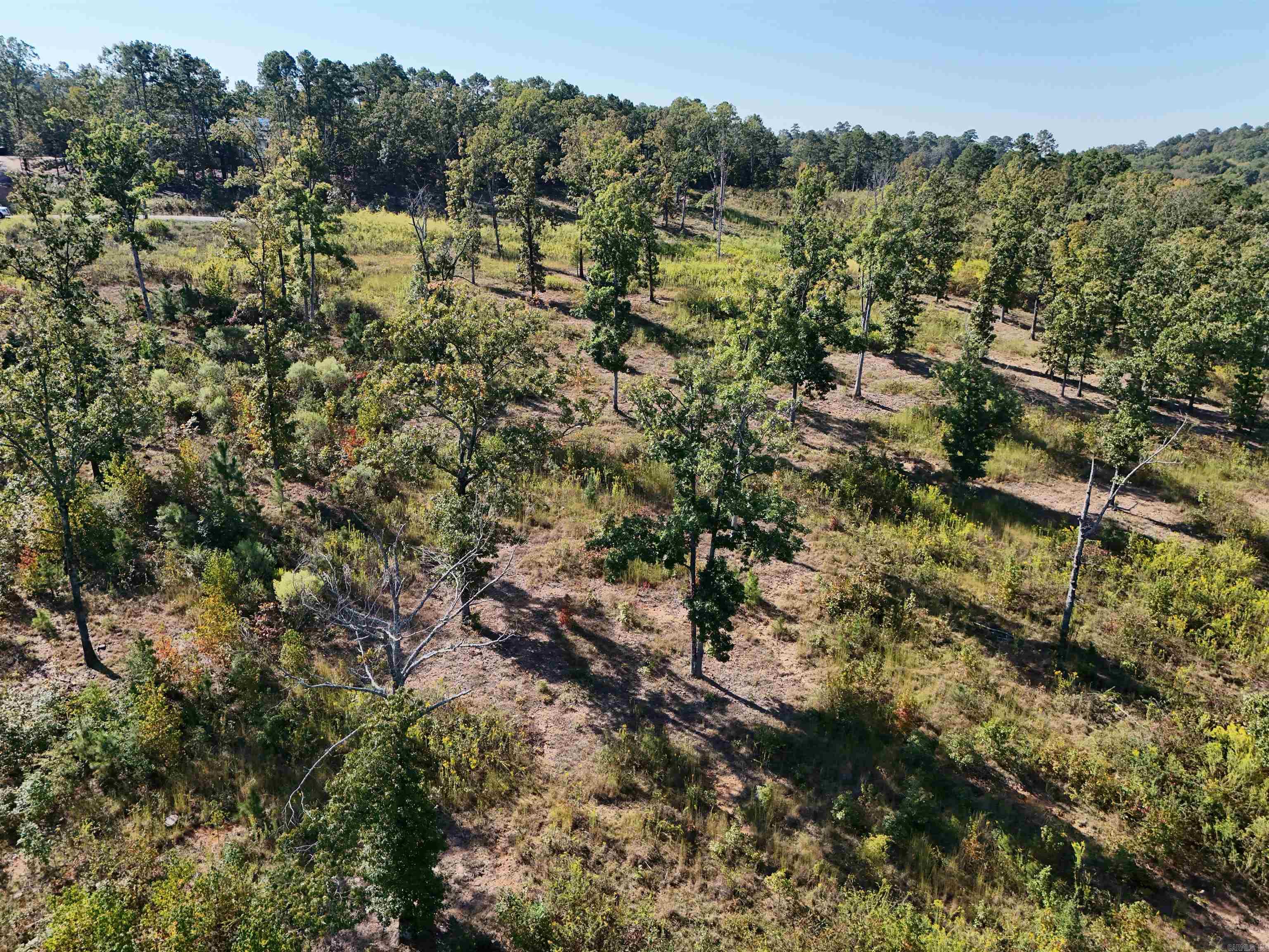 230  Waterview Drive  Conway, AR