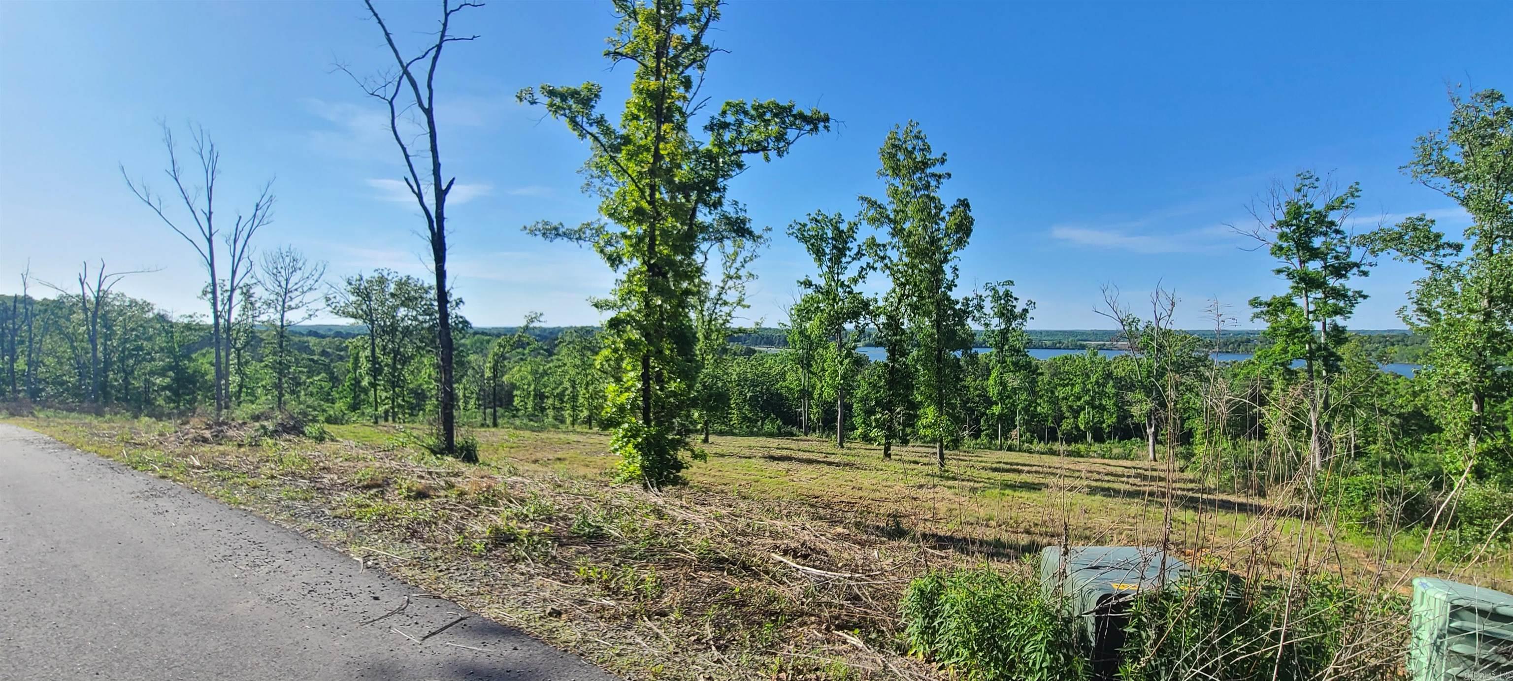 230  Waterview Drive  Conway, AR