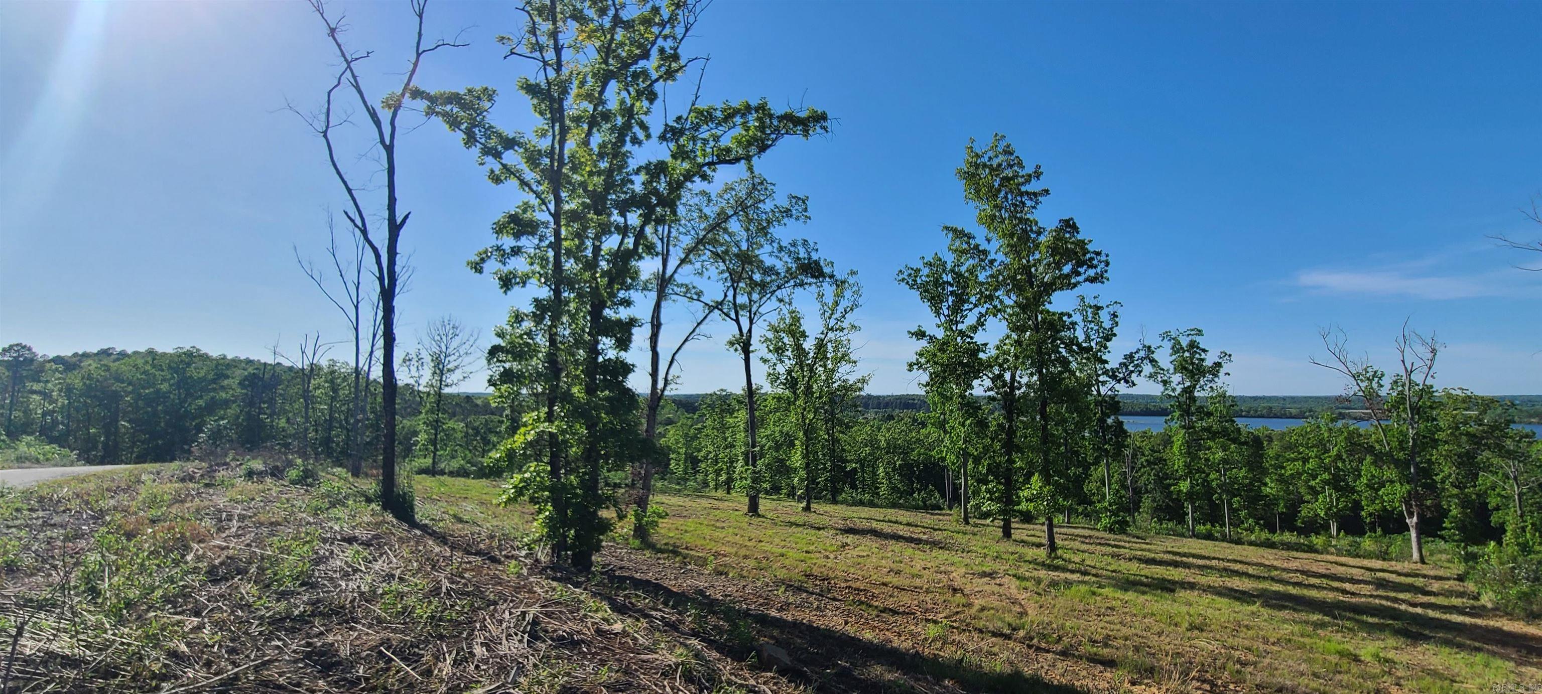 230  Waterview Drive  Conway, AR