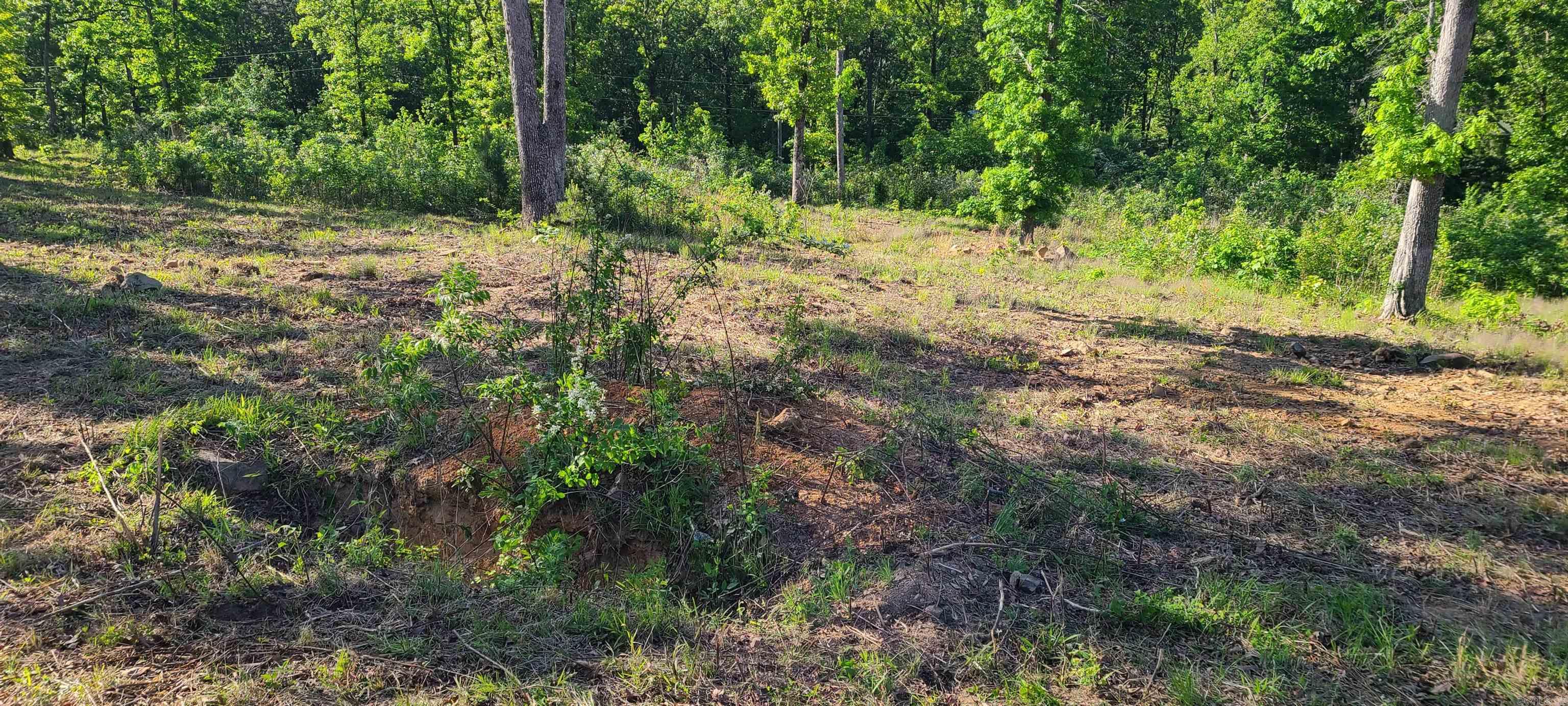 230  Waterview Drive  Conway, AR