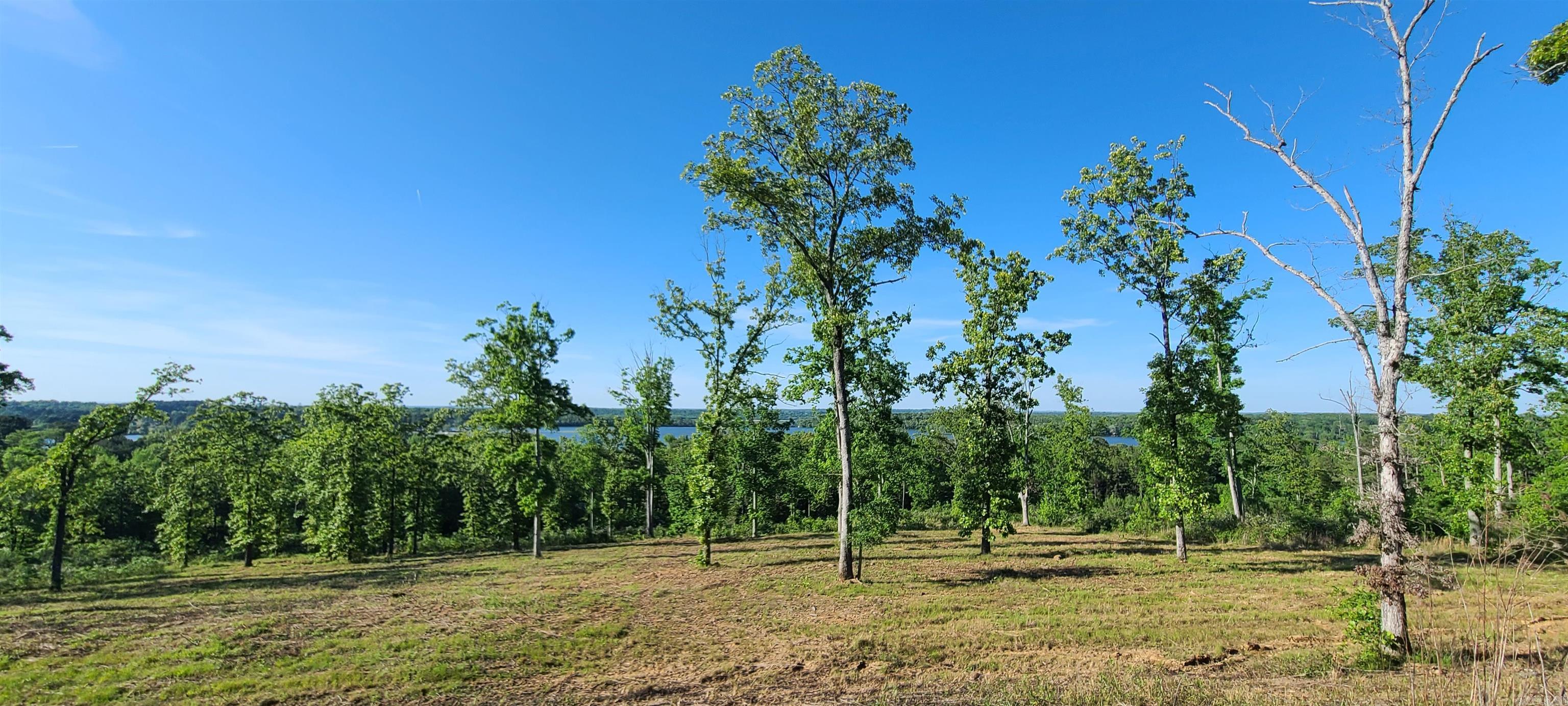 230  Waterview Drive  Conway, AR