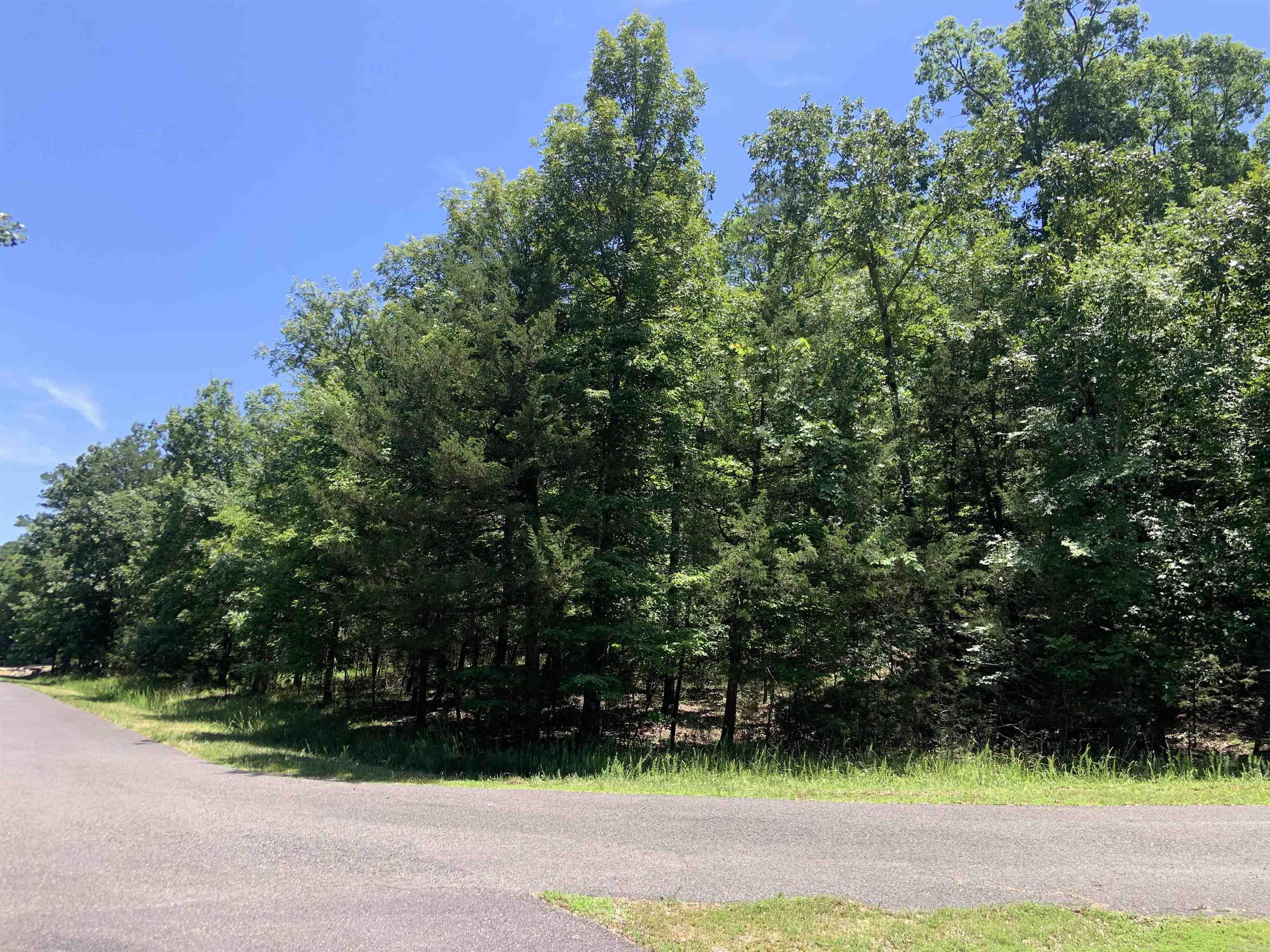 19  Campeon Ln  Hot Springs Village, AR