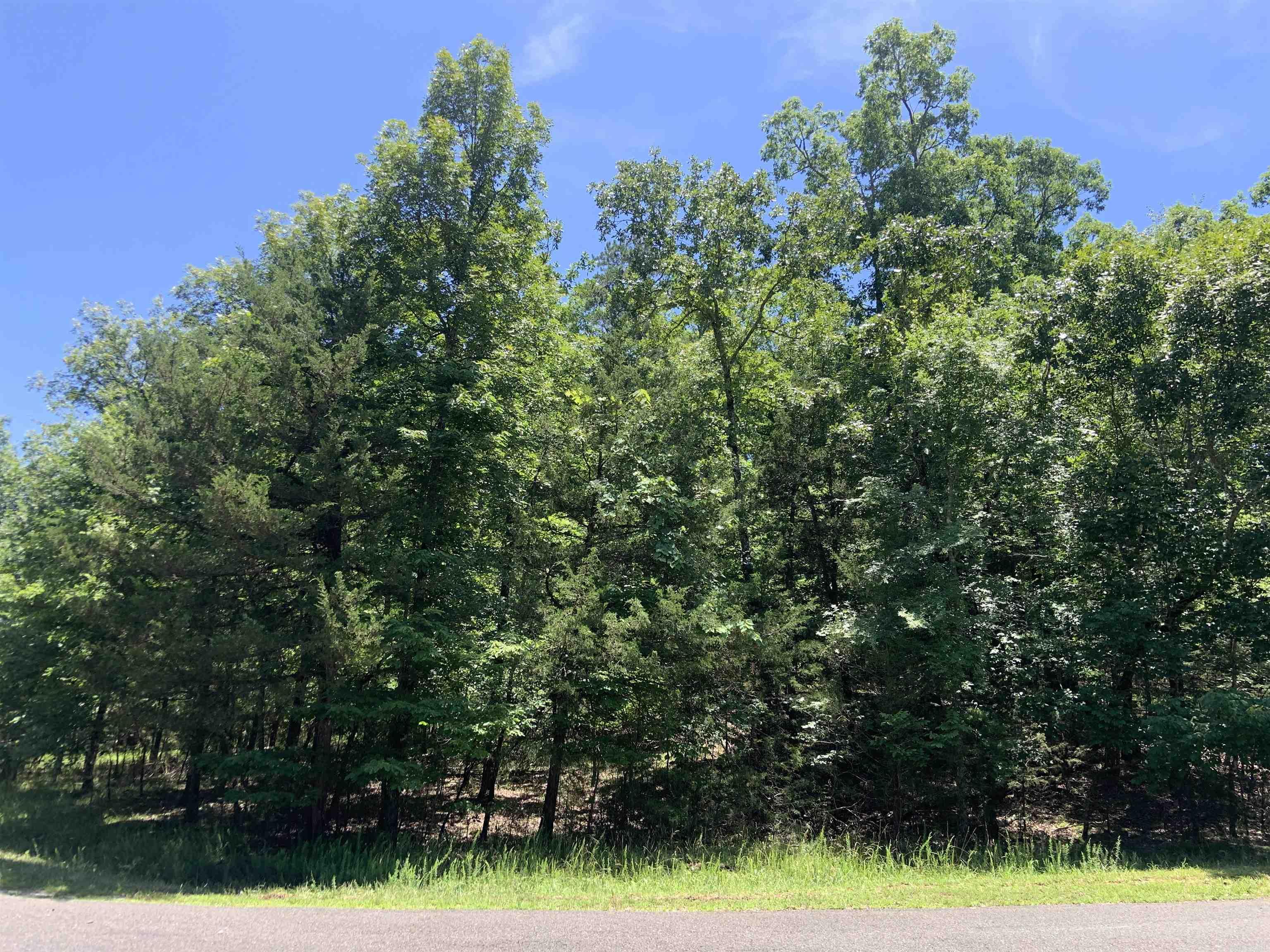 19  Campeon Ln  Hot Springs Village, AR