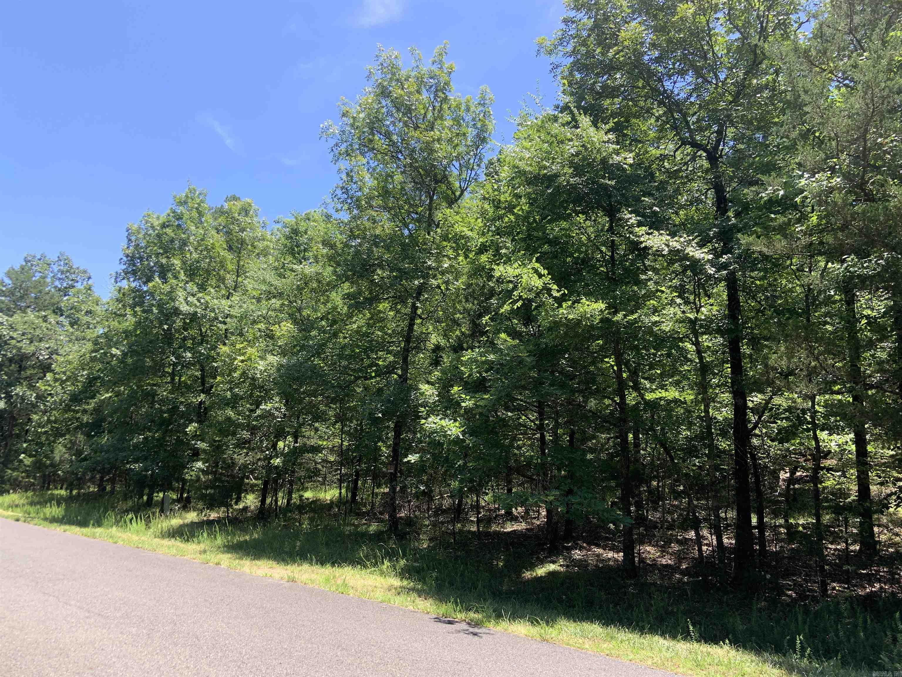 19  Campeon Ln  Hot Springs Village, AR