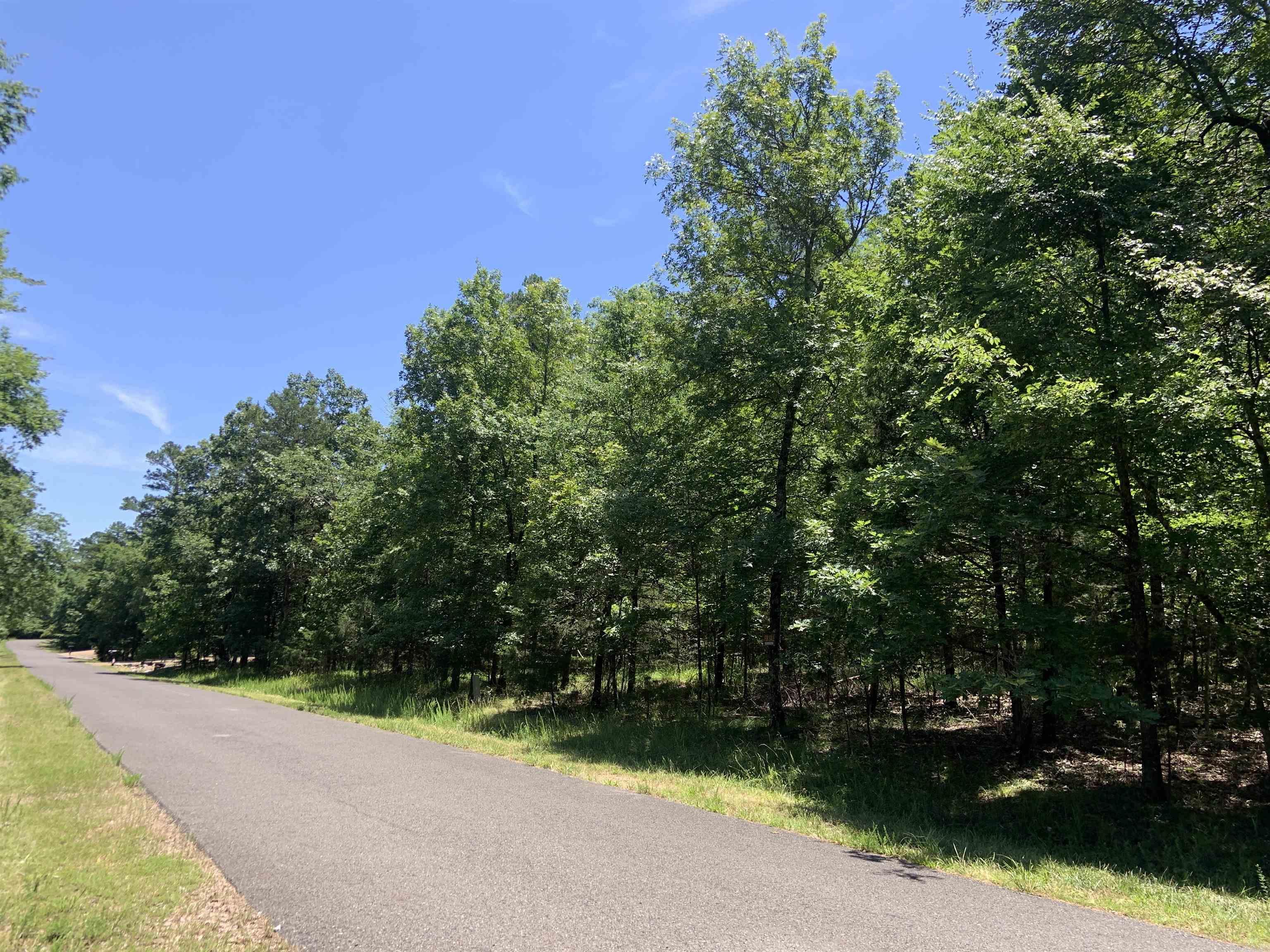 19  Campeon Ln  Hot Springs Village, AR