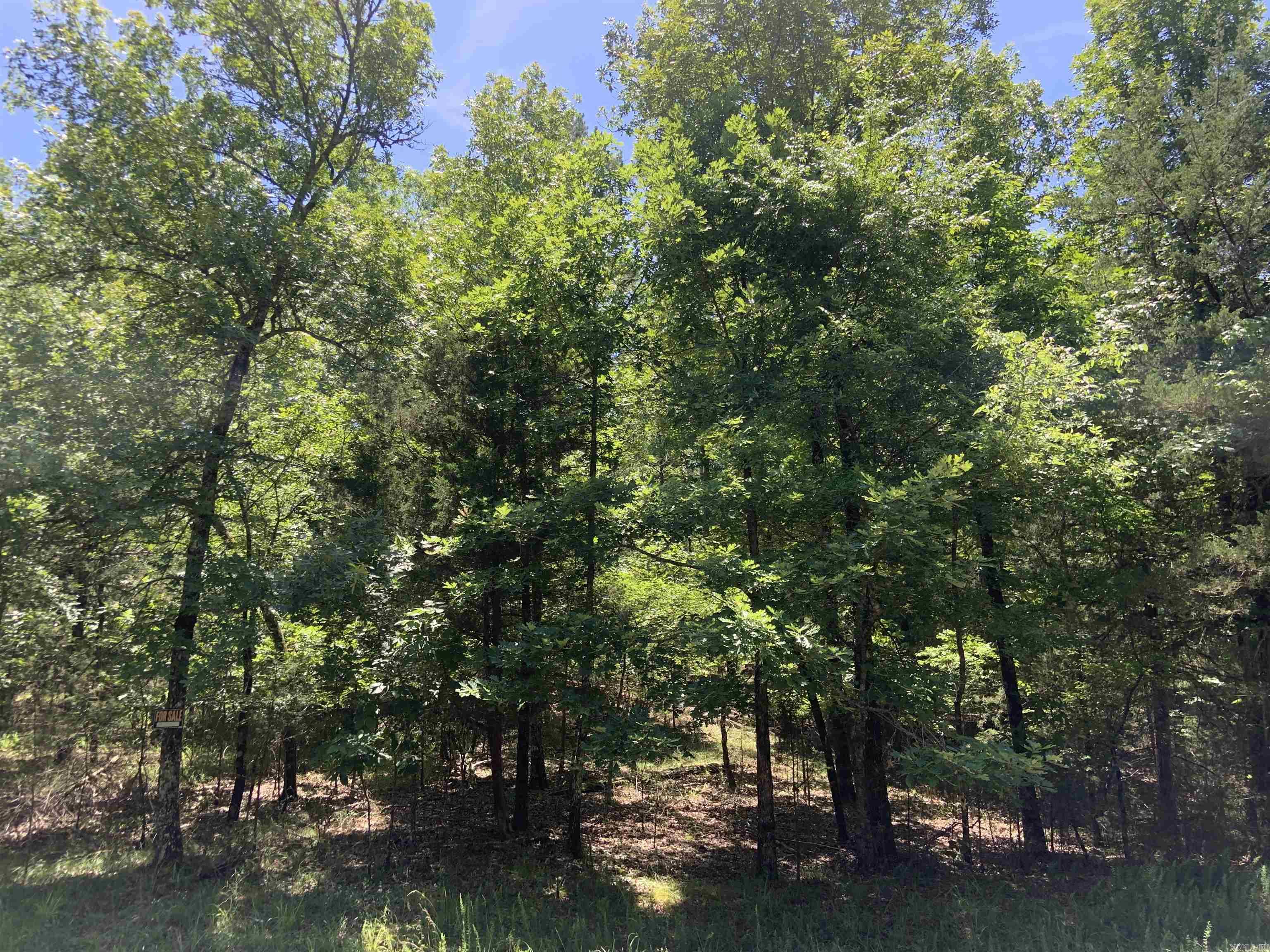 19  Campeon Ln  Hot Springs Village, AR