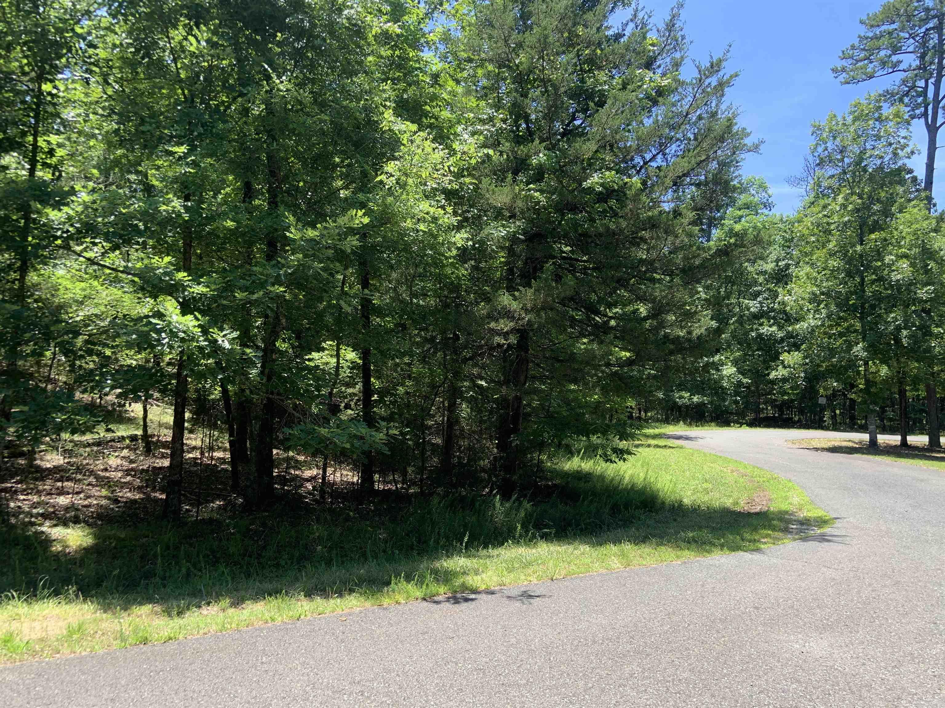 19  Campeon Ln  Hot Springs Village, AR