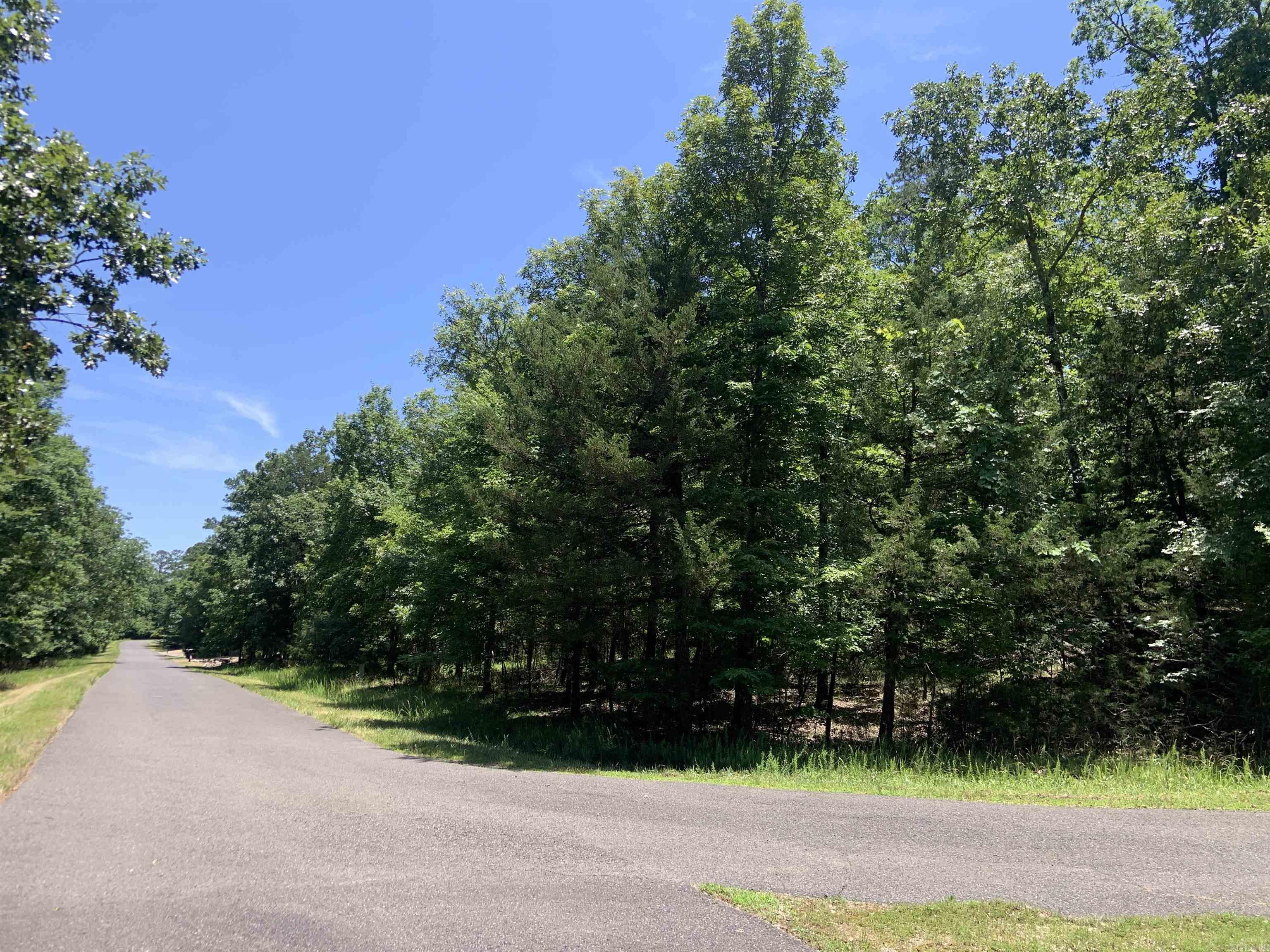 19  Campeon Ln  Hot Springs Village, AR