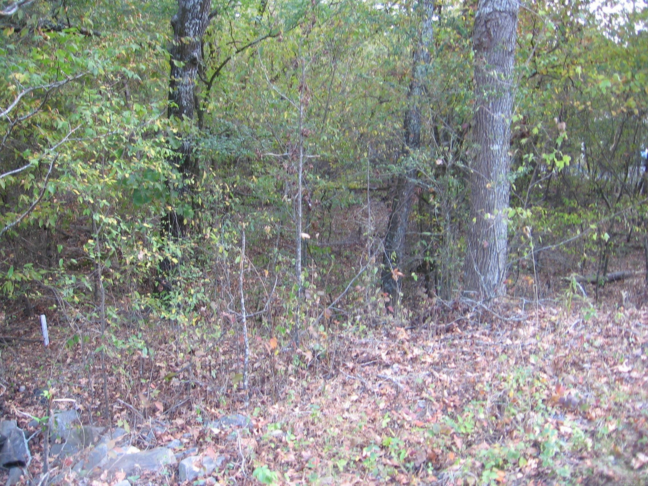   BALBOA DRIVE  Hot Springs Village, AR