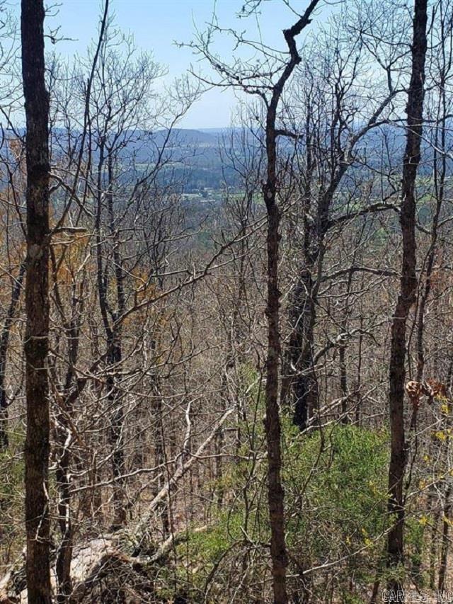 2211 Himes Ave  & TBD Diamond Rose Ln  Mena, AR
