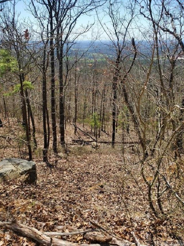 2211 Himes Ave  & TBD Diamond Rose Ln  Mena, AR