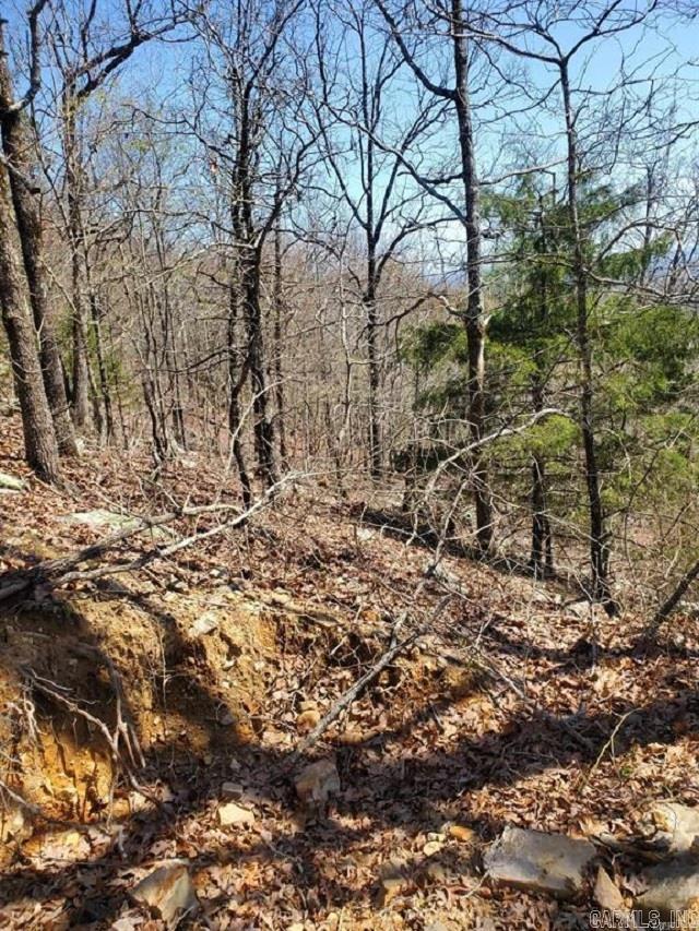 2211 Himes Ave  & TBD Diamond Rose Ln  Mena, AR