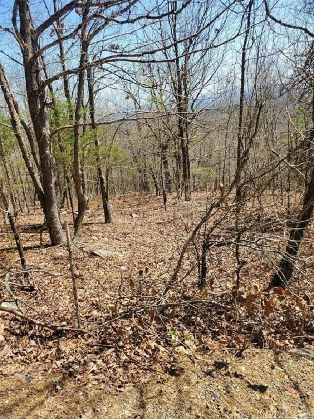 2211 Himes Ave  & TBD Diamond Rose Ln  Mena, AR
