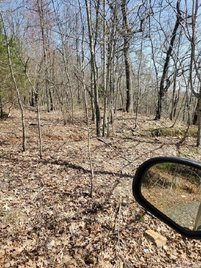 2211 Himes Ave  & TBD Diamond Rose Ln  Mena, AR
