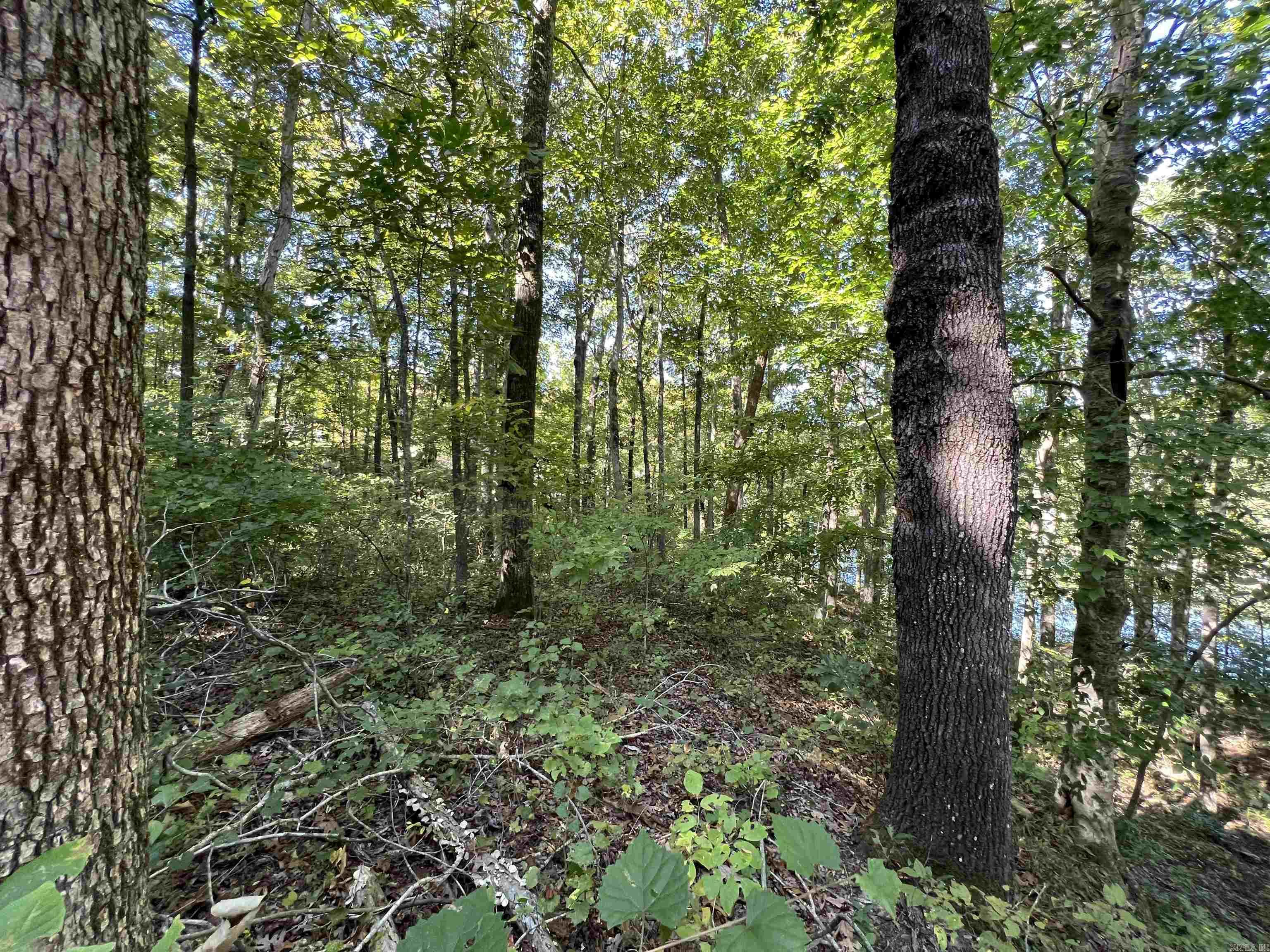 90  Lake  Drasco, AR
