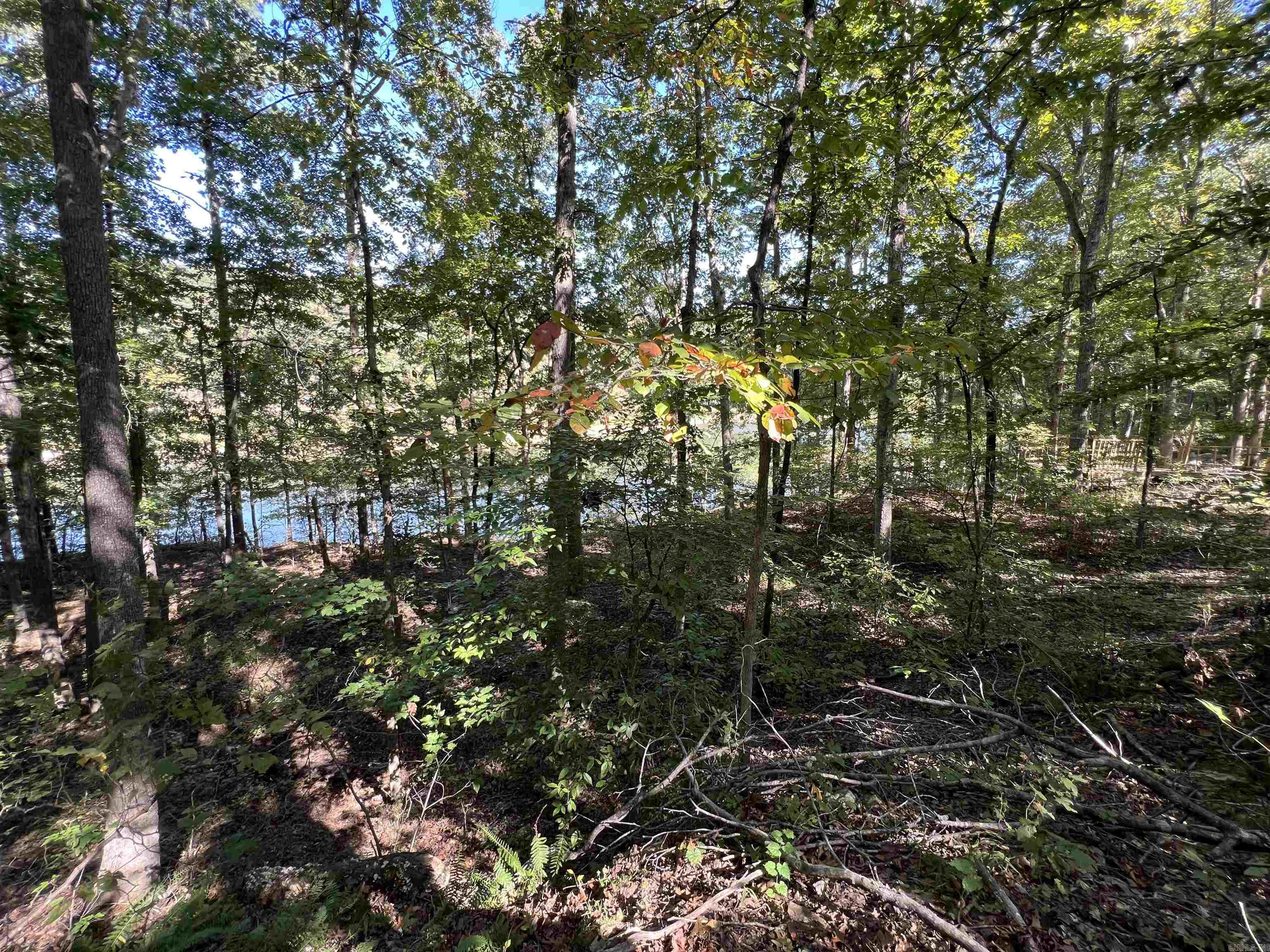90  Lake  Drasco, AR