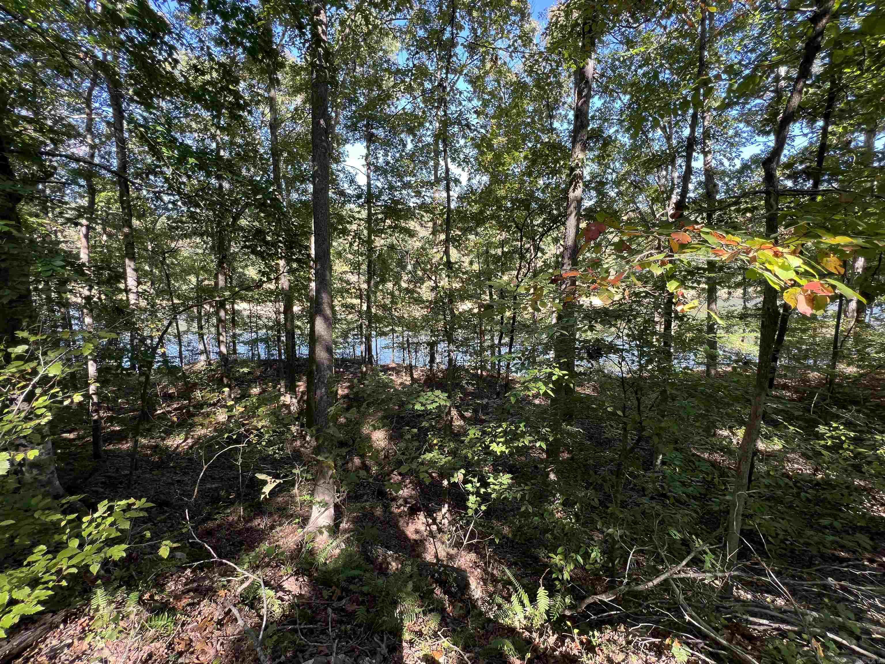 90  Lake  Drasco, AR