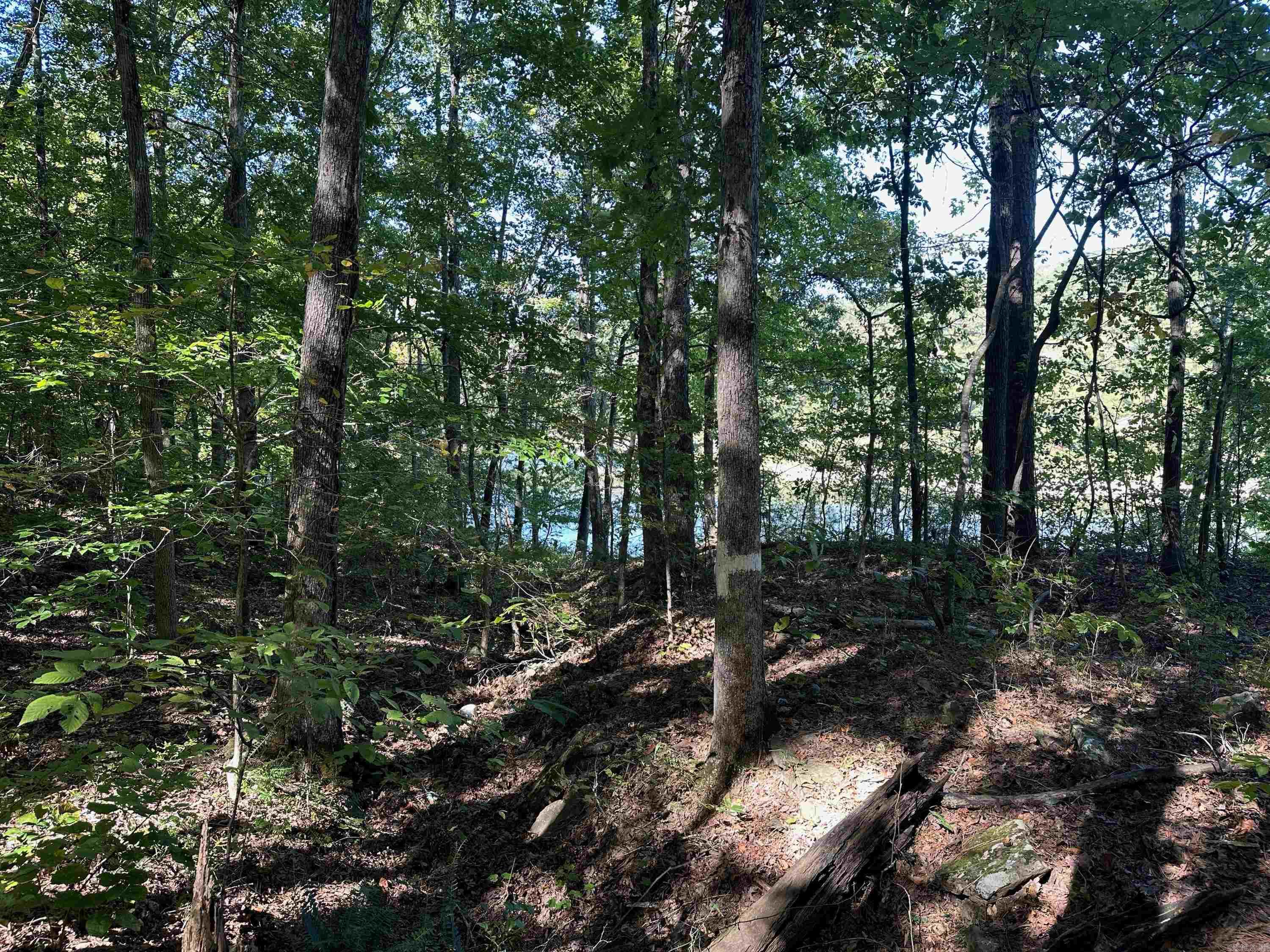 90  Lake  Drasco, AR
