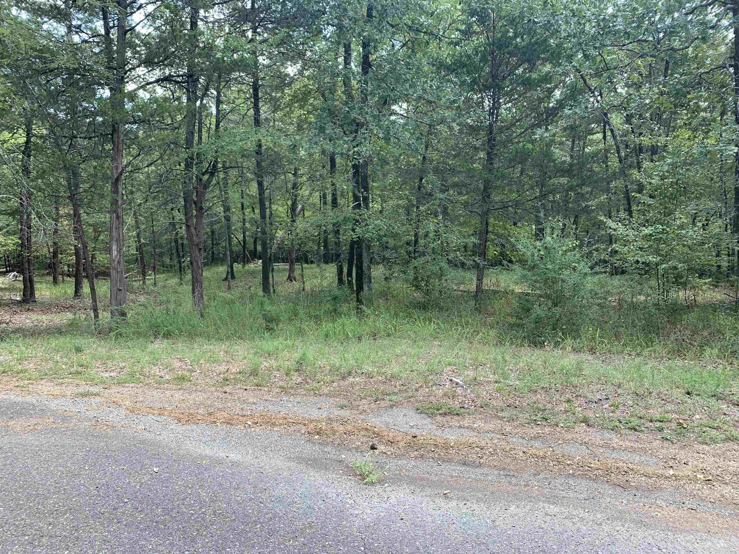 4  Ermalinda  Hot Springs Village, AR