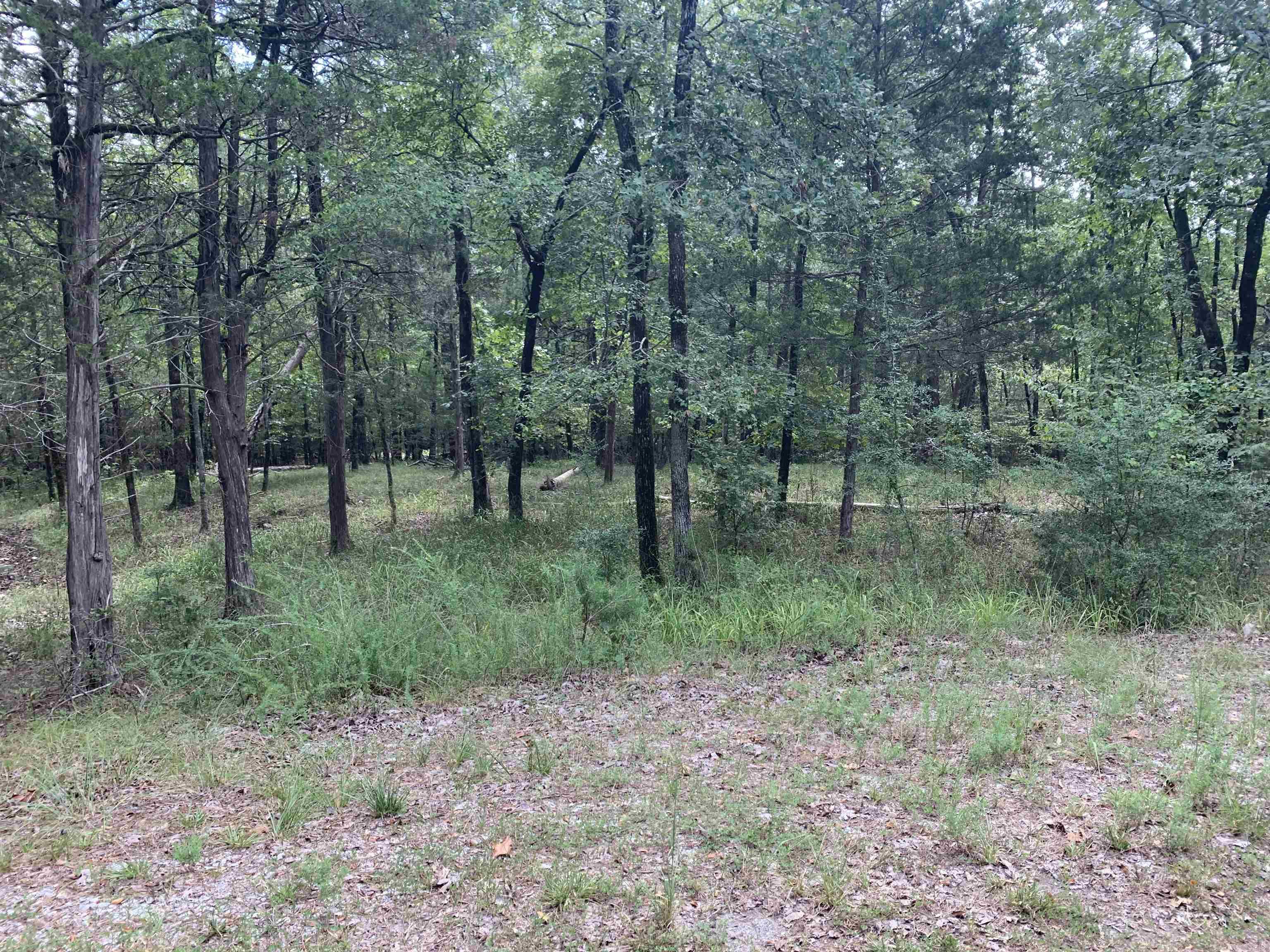 4  Ermalinda  Hot Springs Village, AR