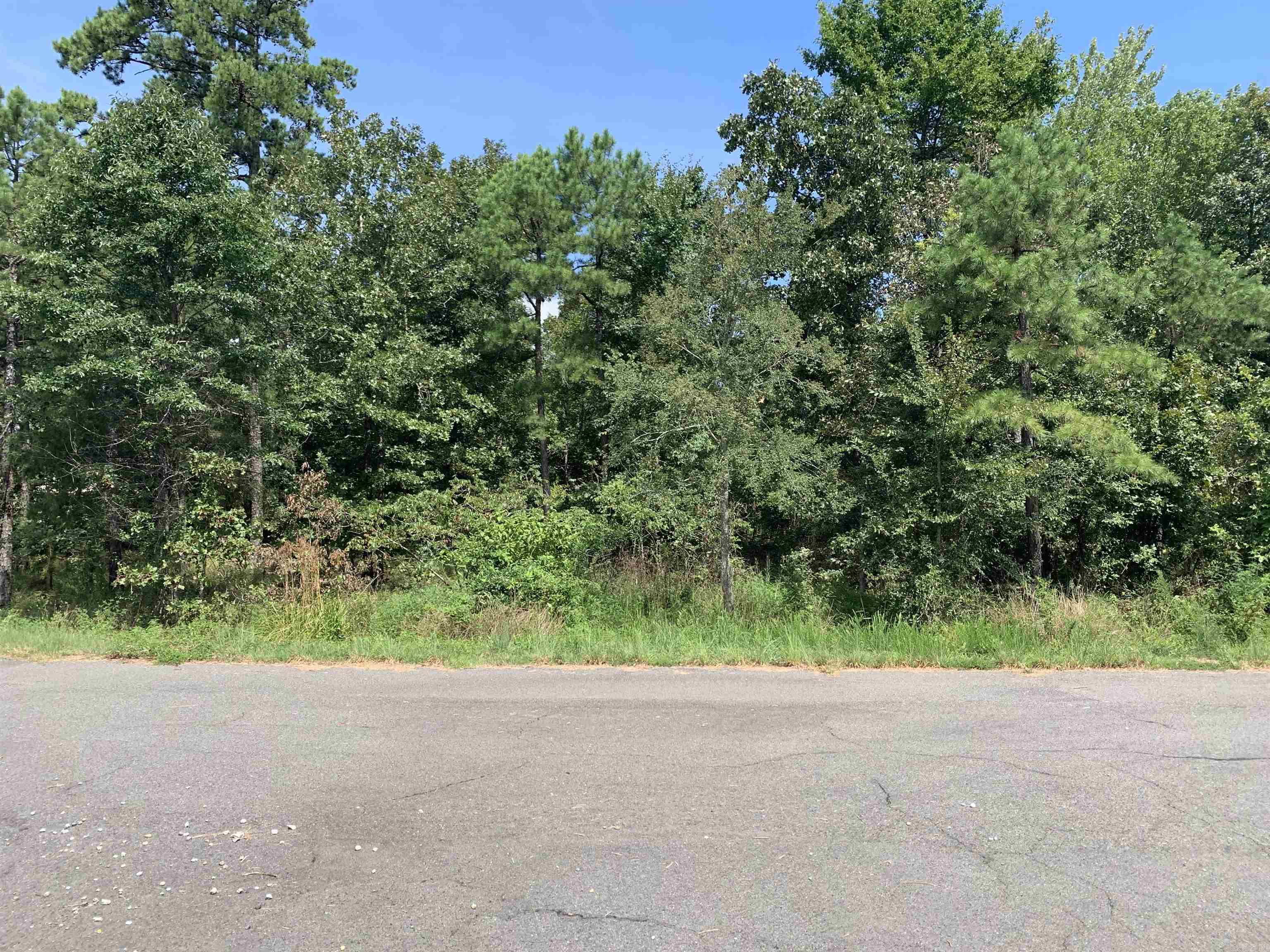 32  Ochavo  Hot Springs Village, AR