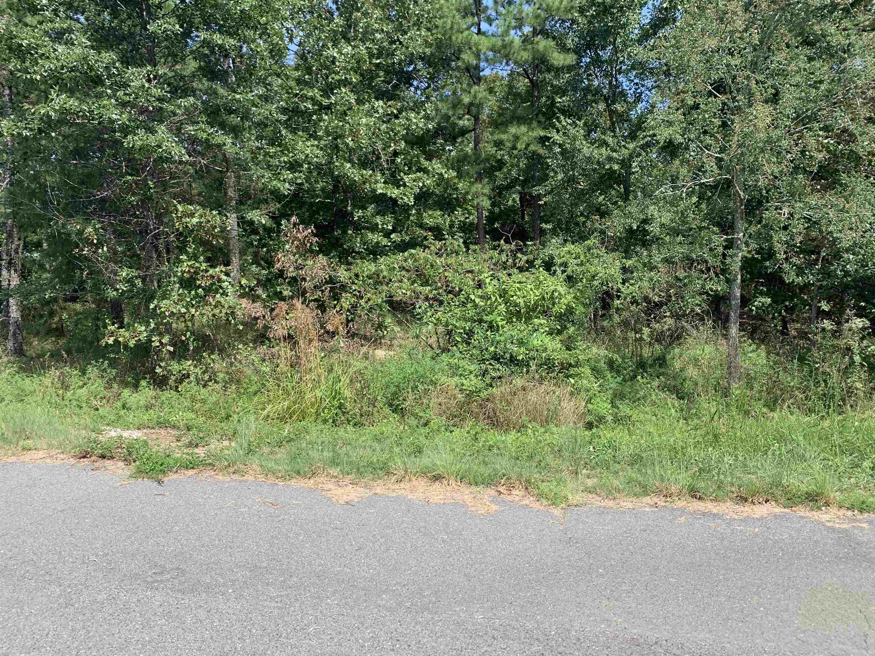 32  Ochavo  Hot Springs Village, AR