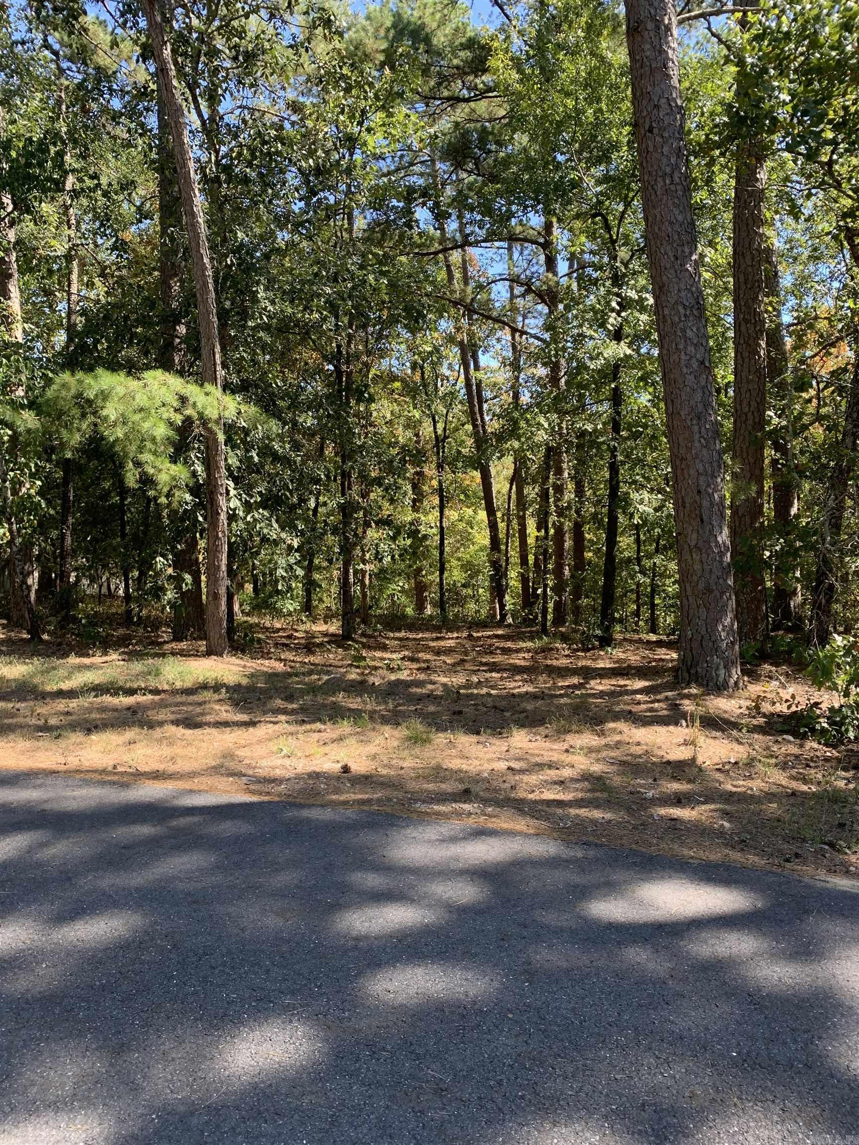 8  Alava  Hot Springs Village, AR
