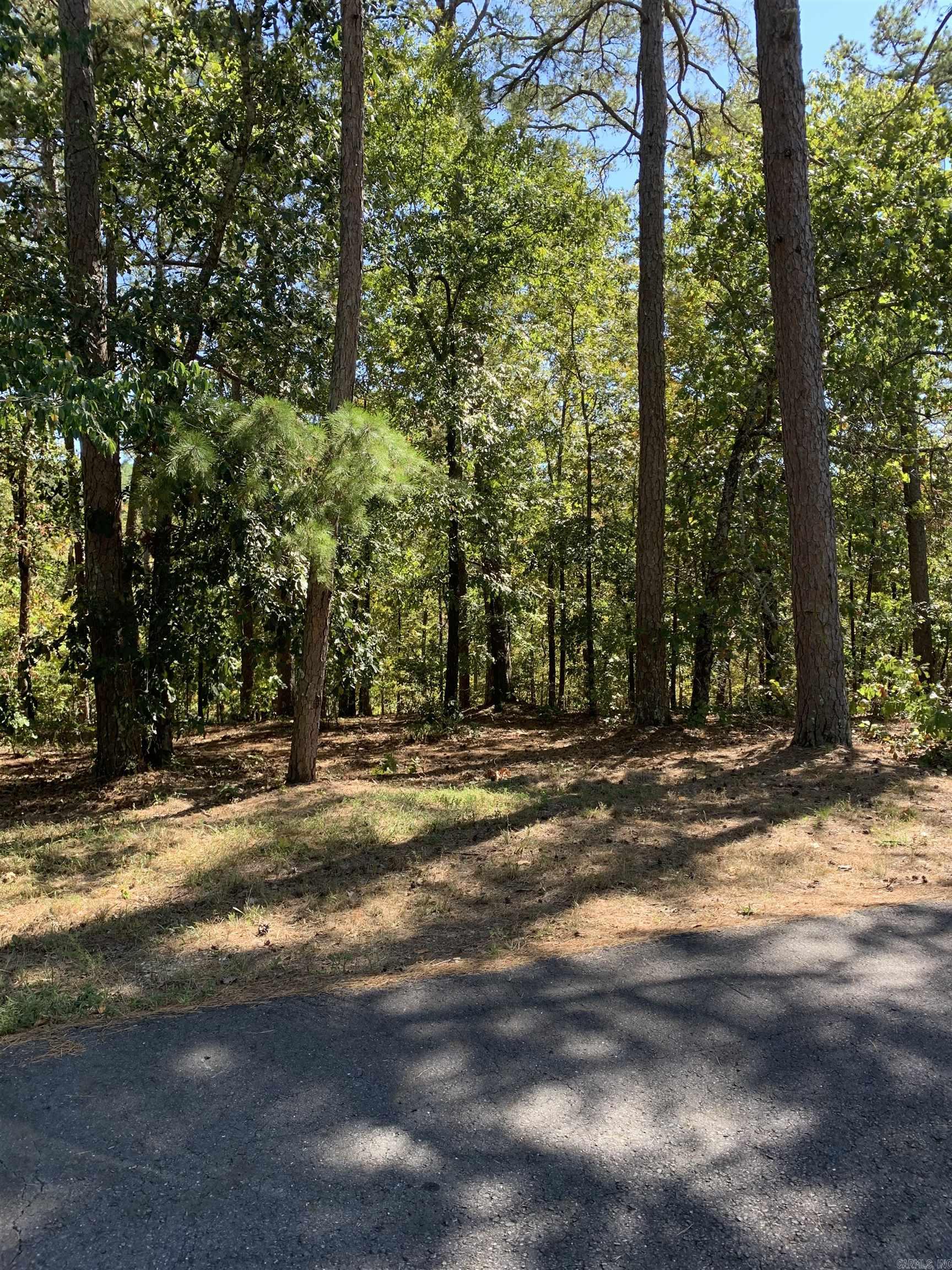 8  Alava  Hot Springs Village, AR