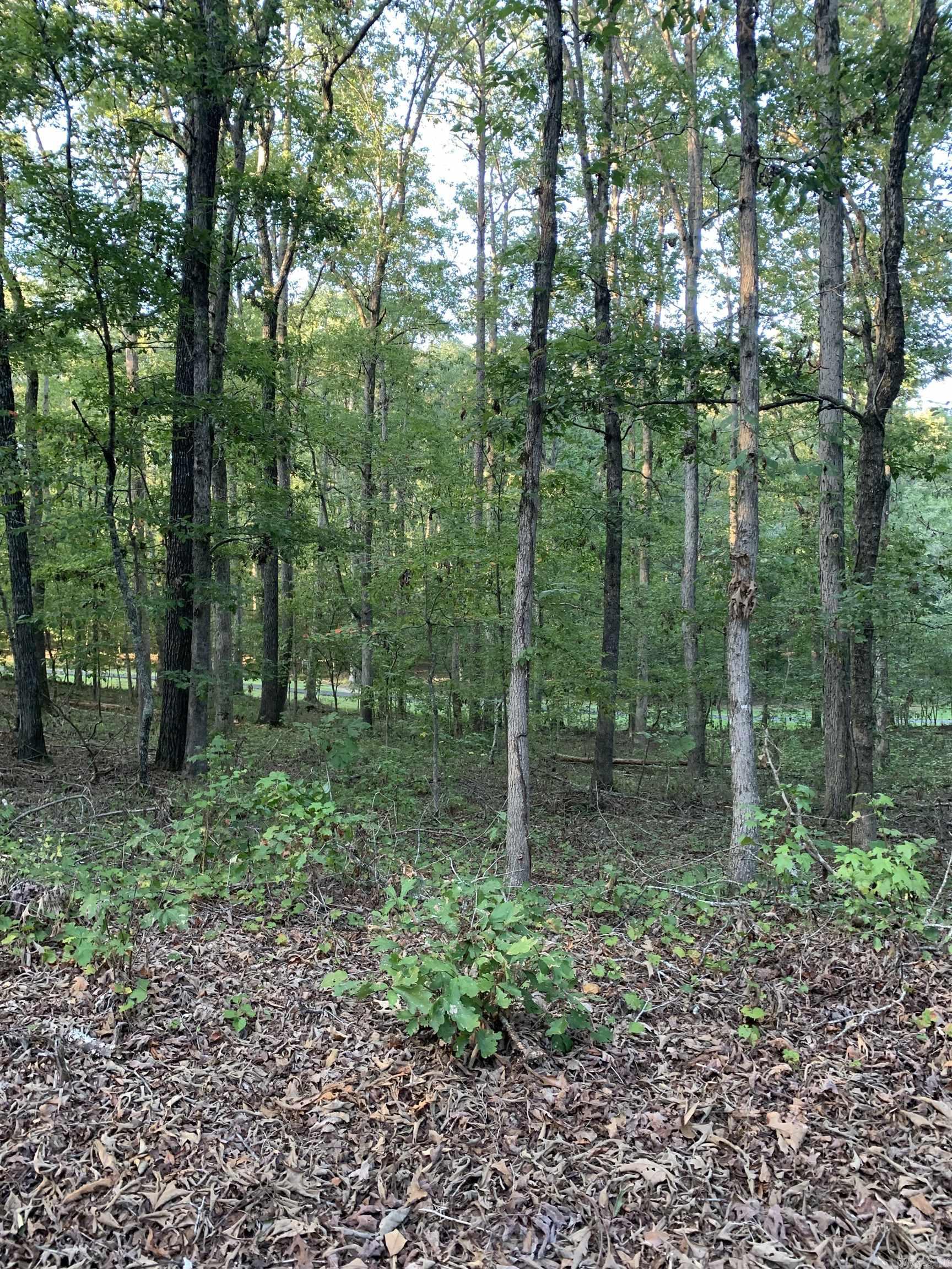 84  Delgado  Hot Springs Village, AR