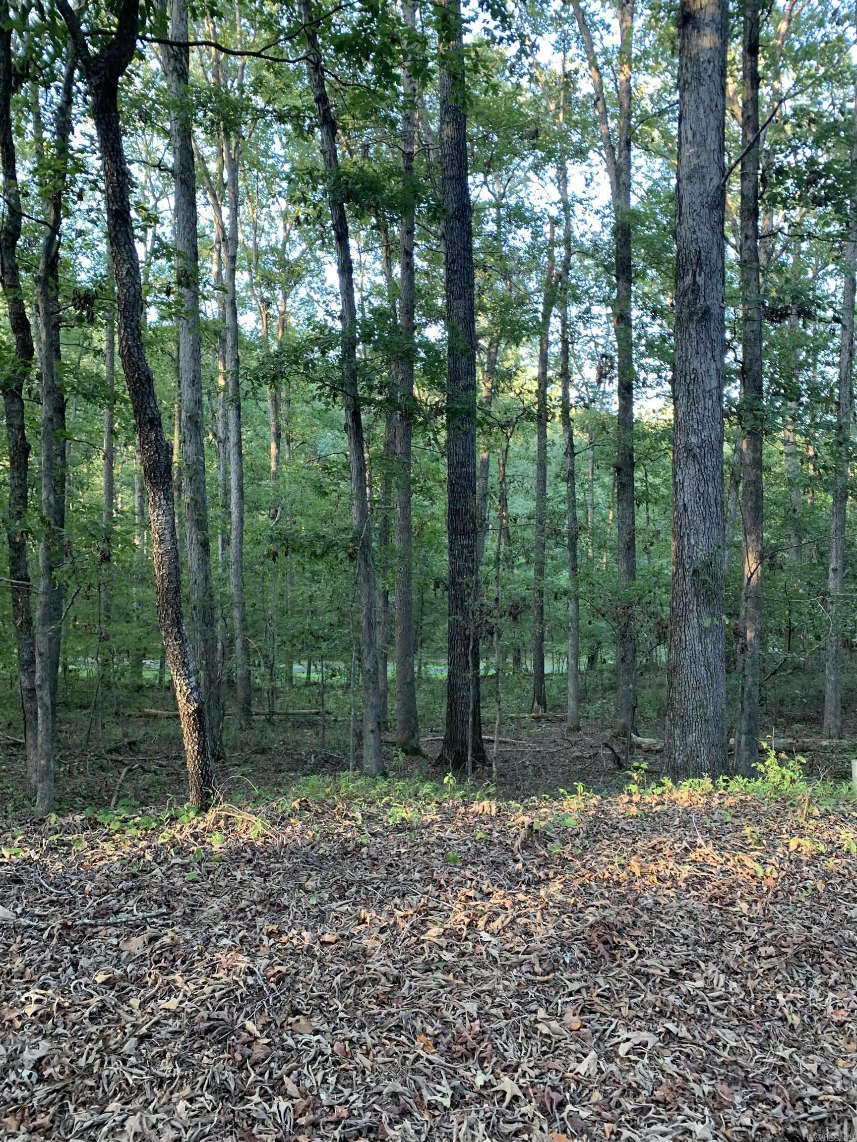 84  Delgado  Hot Springs Village, AR
