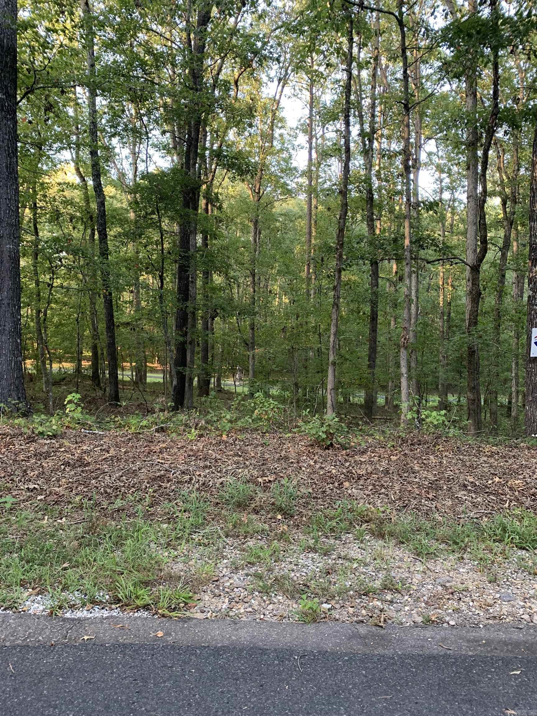 84  Delgado  Hot Springs Village, AR