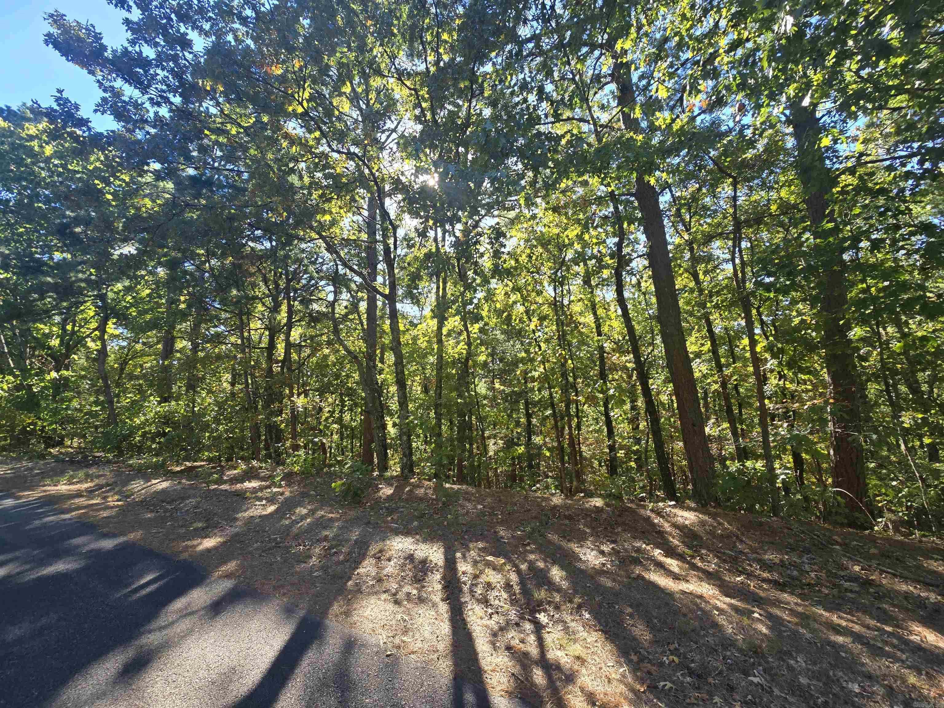  Lot 40 Hyde Parkway  Fairfield Bay, AR