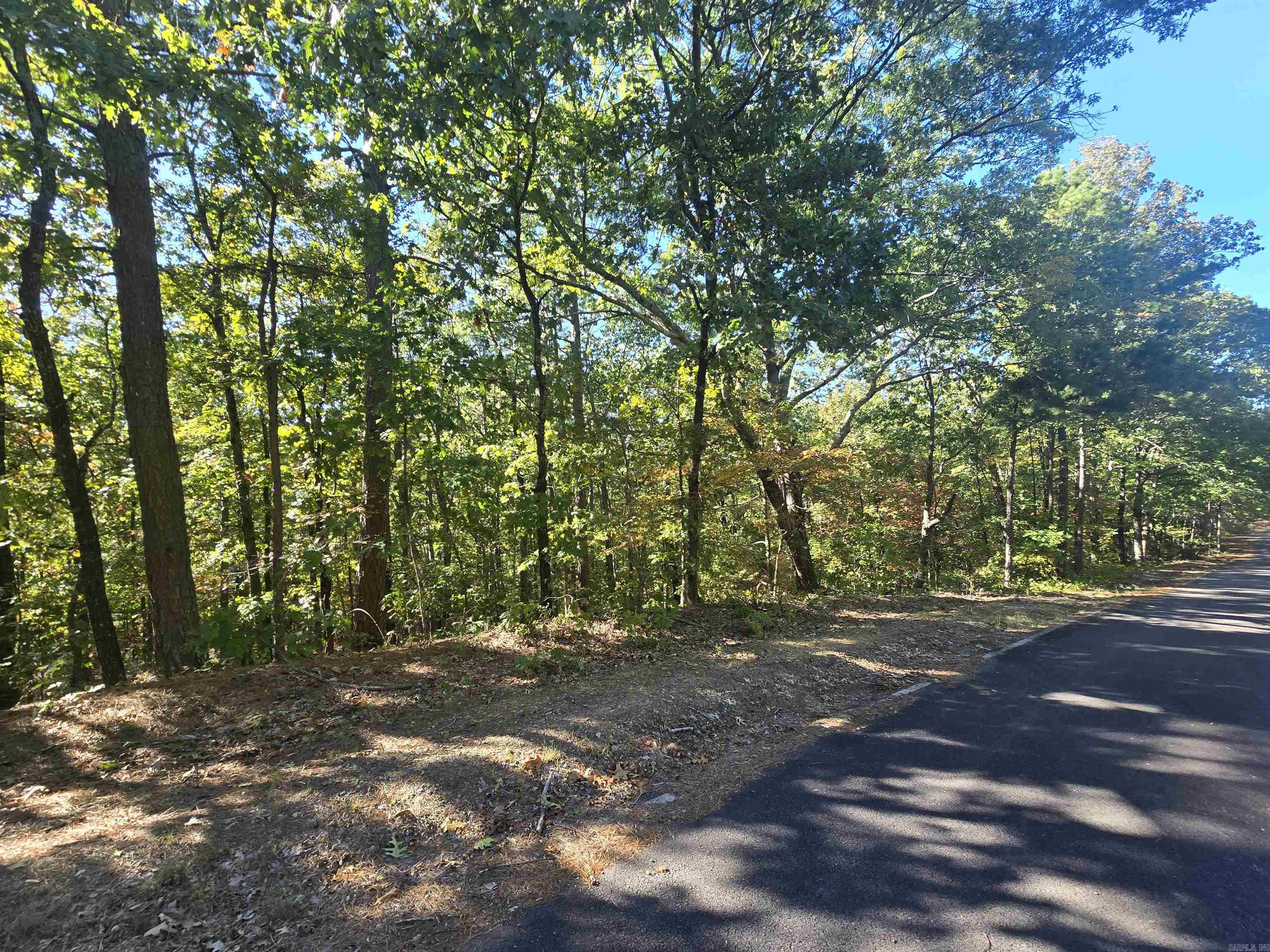   Lot 40 Hyde Parkway  Fairfield Bay, AR