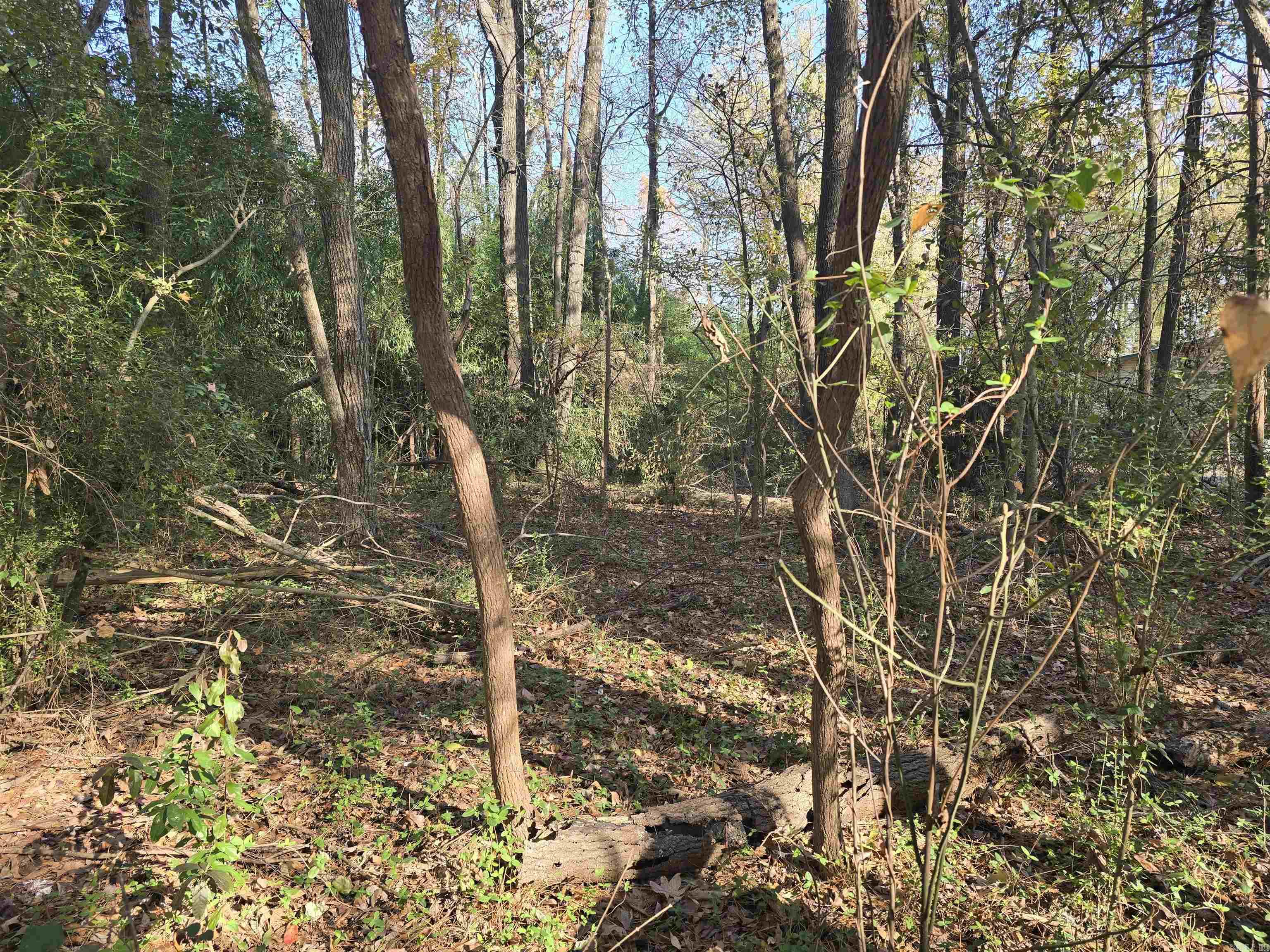lot 7  Shady Point Drive  Conway, AR