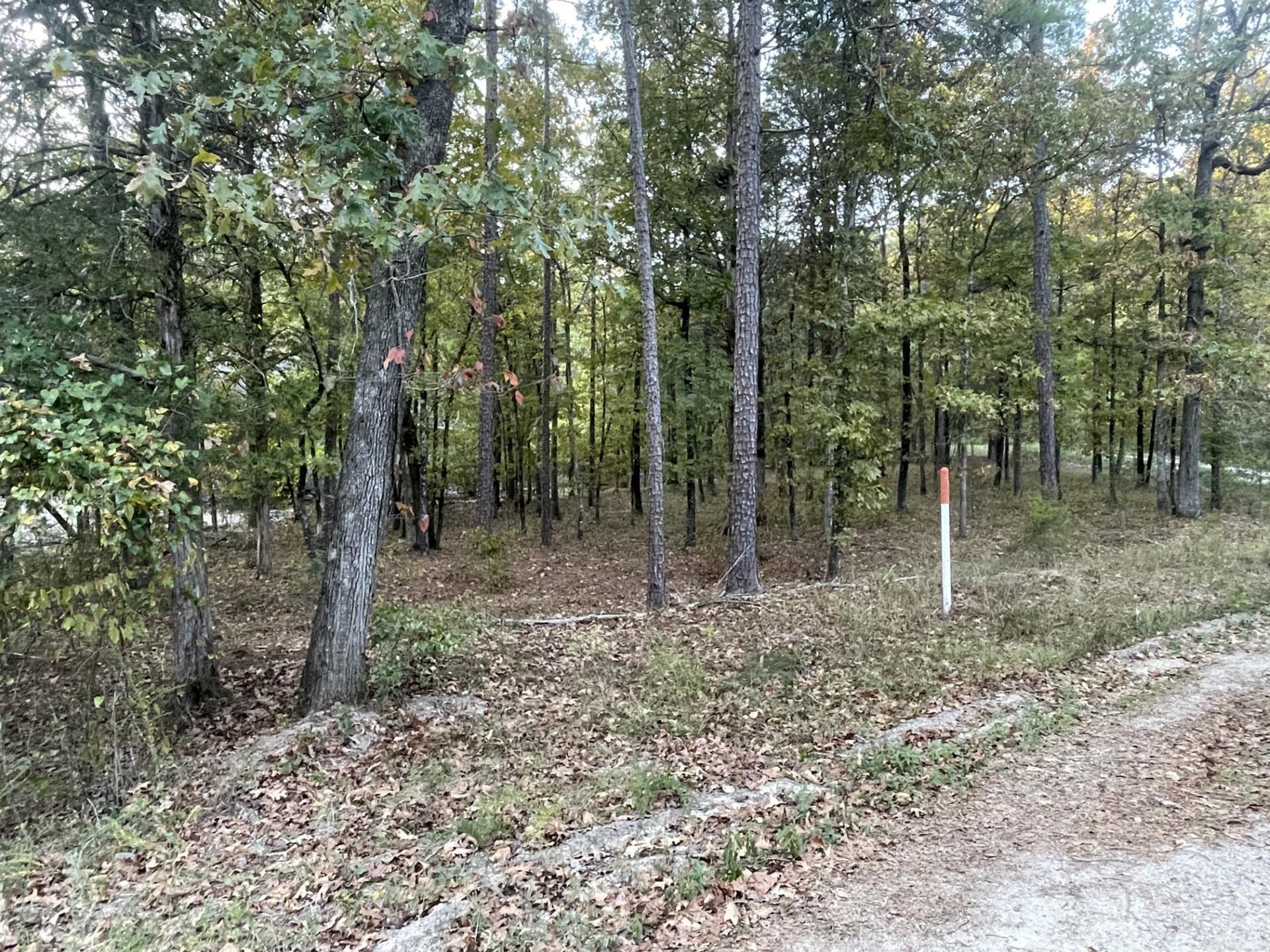 96  Saldana Way  Hot Springs Village, AR